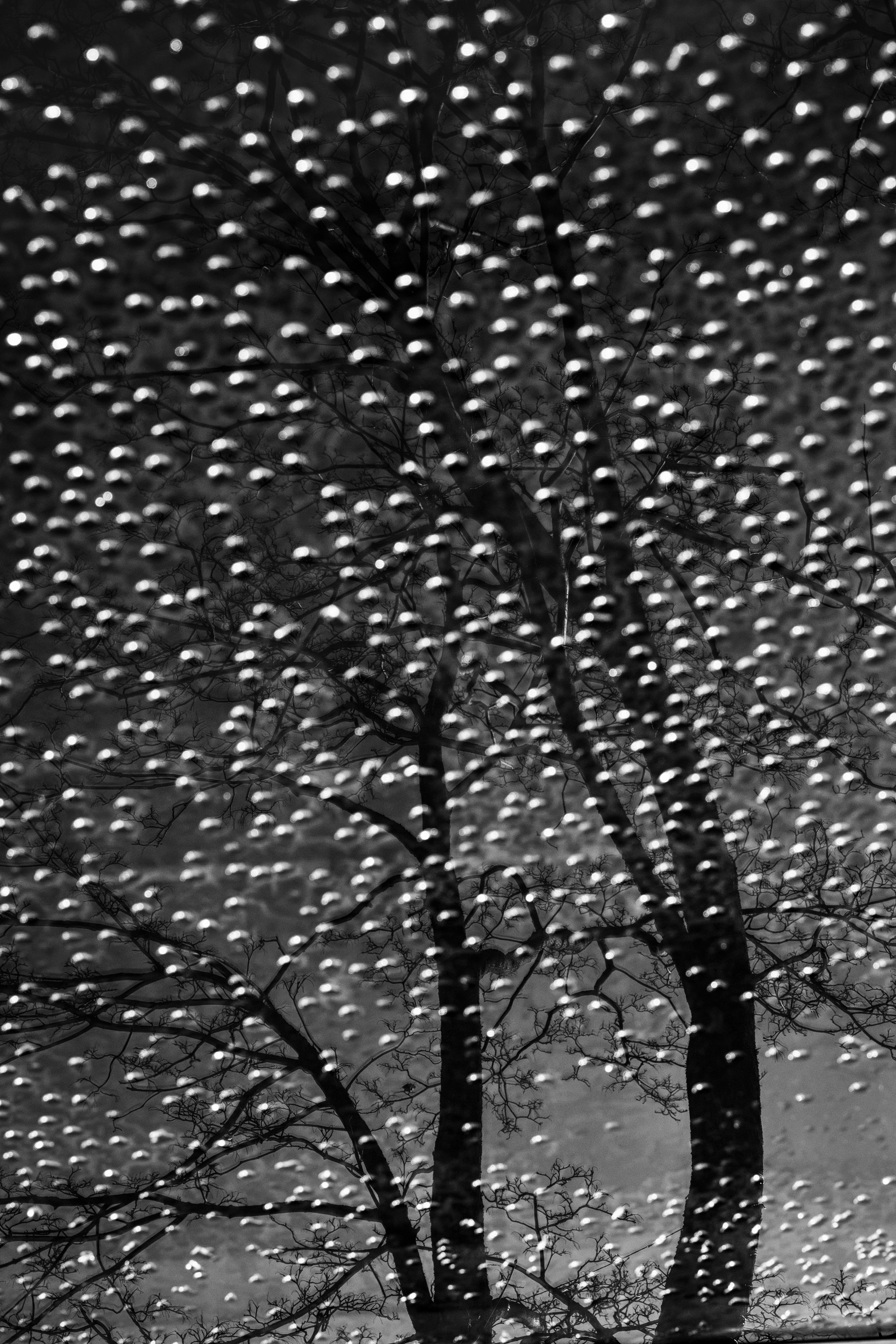 Abstraction. Dimitri Bakhtadze photographer