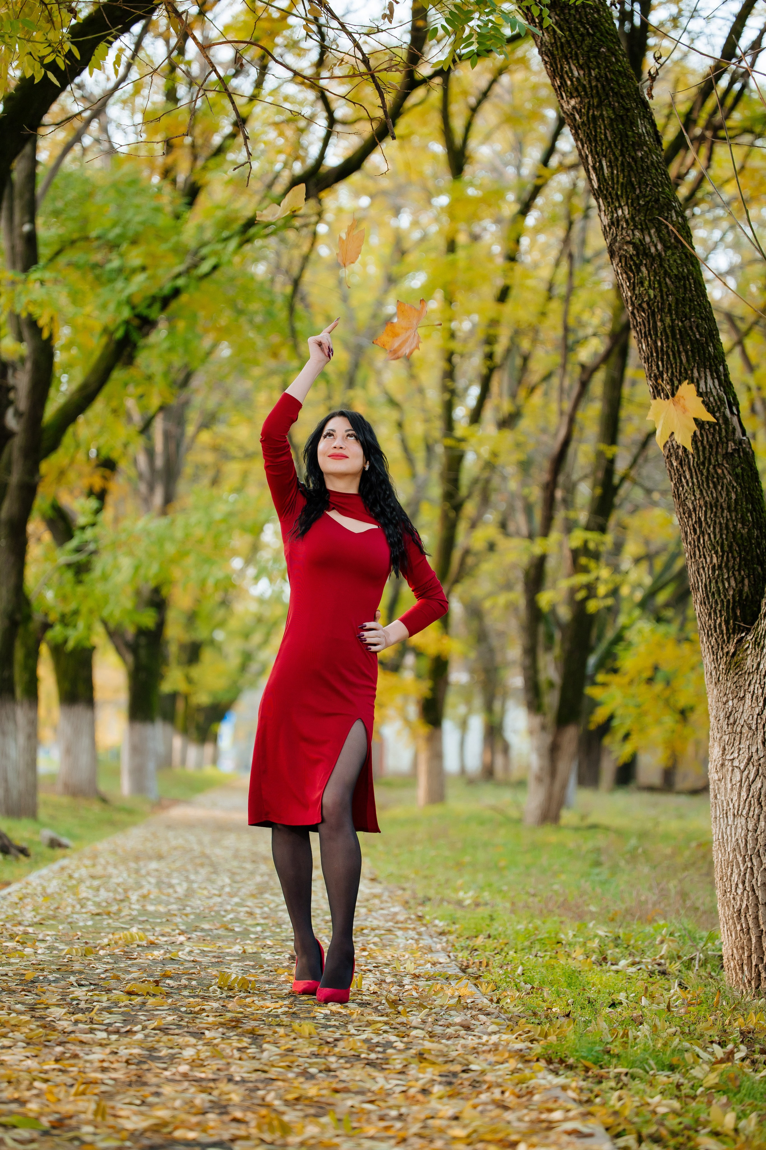 Осень. Профессиональный фотограф и видеооператор