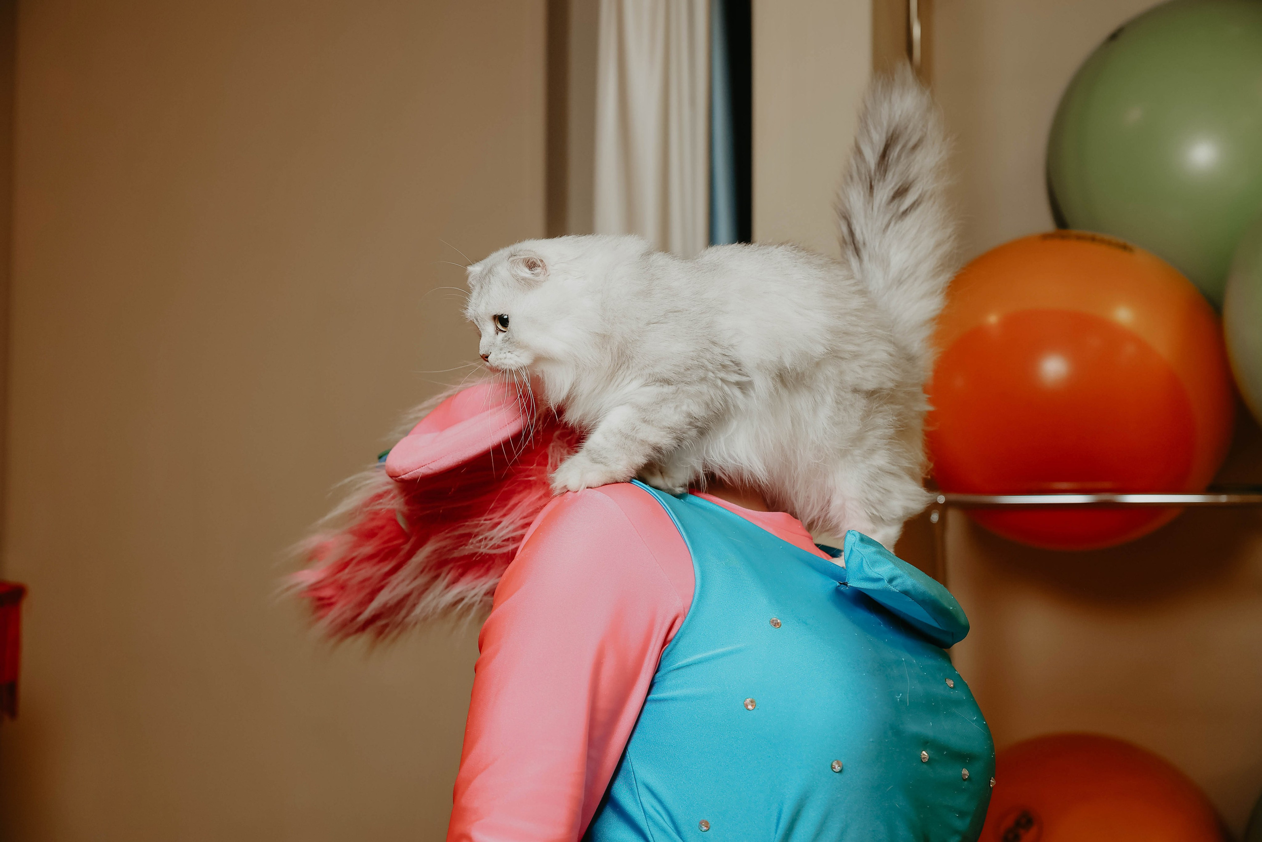 Белле 5 лет. Фотограф в Москве и любой точке земного шара Алёна Вялова (Чулкова)