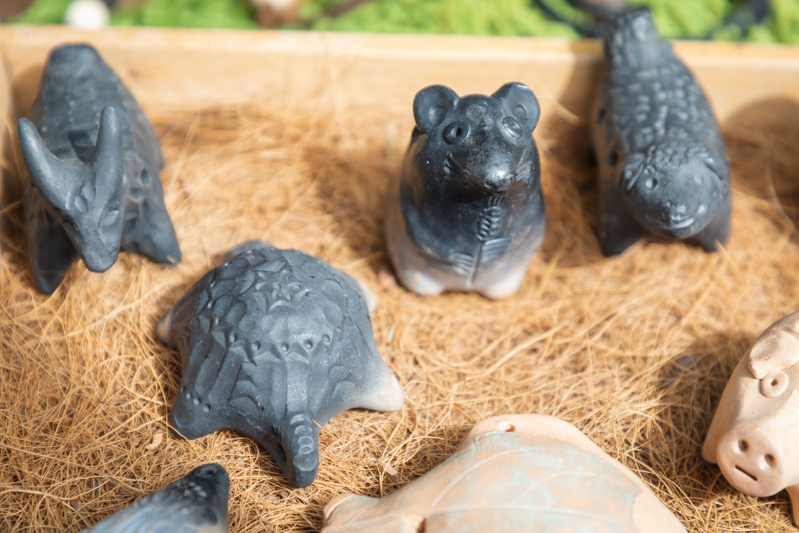 Эвер Джаз. Главная