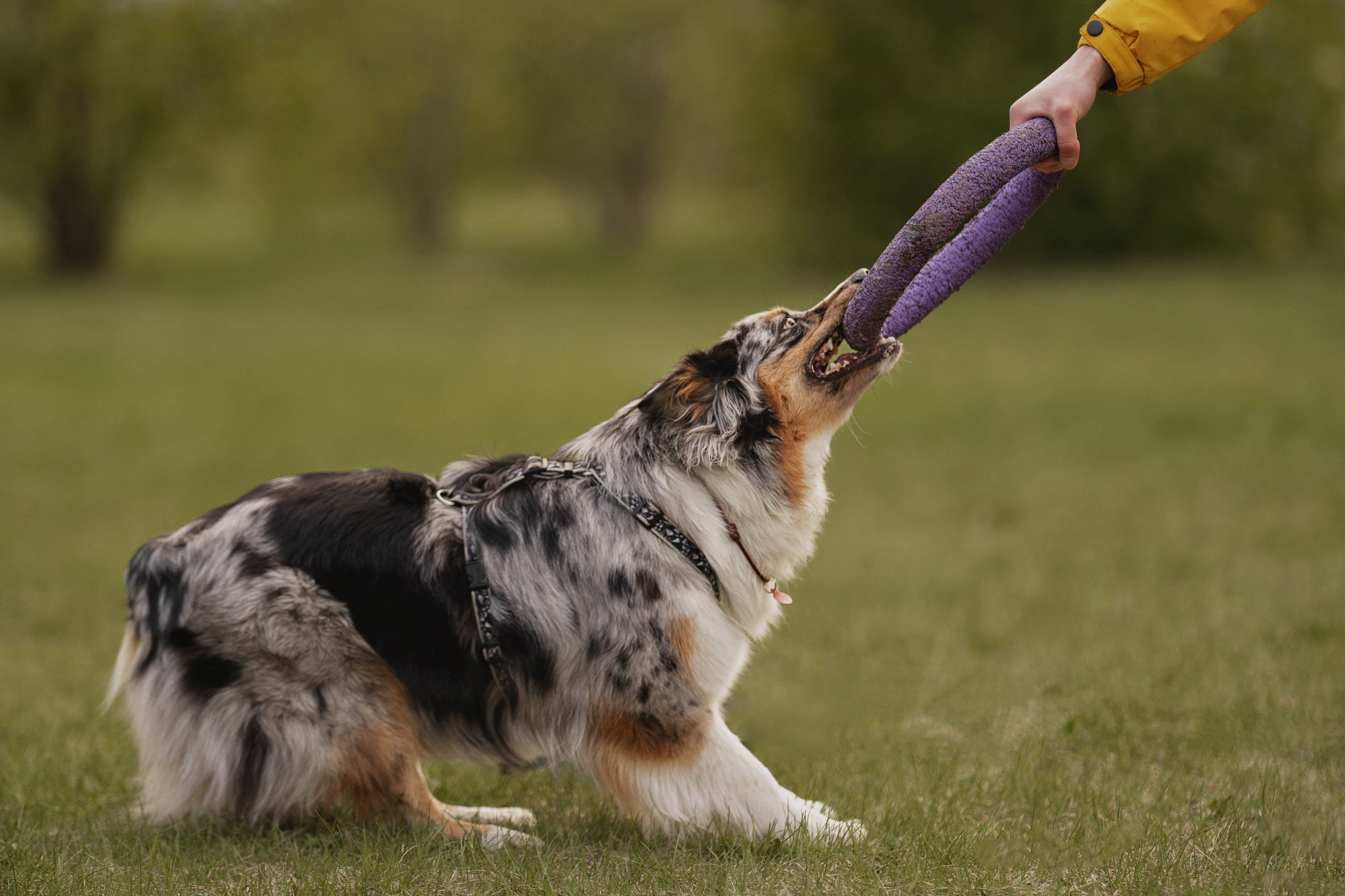 Николай и его девчонки. Kameramotor74