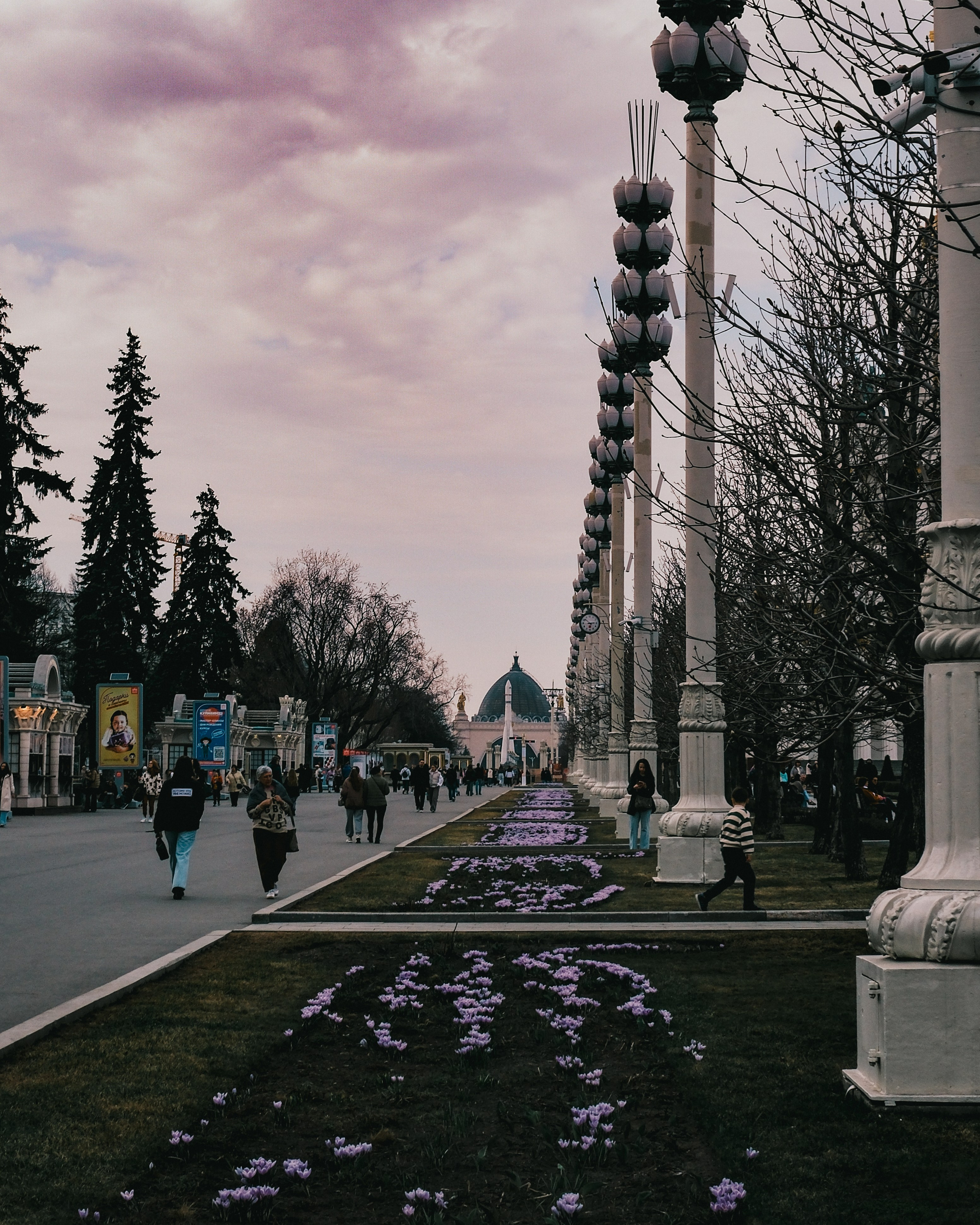 Московские зарисовки (сборник). Фотограф в Москве Полина Ефремова