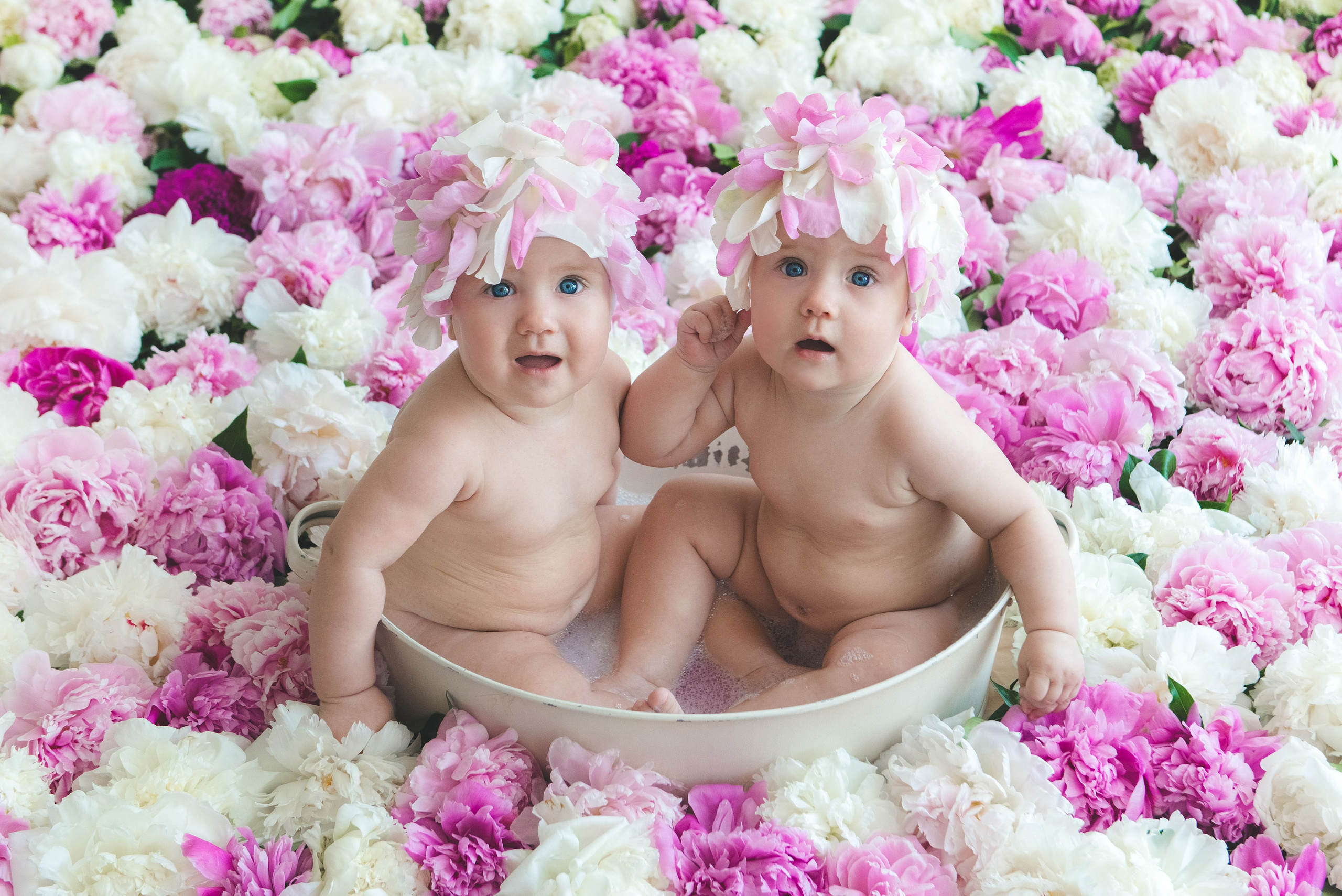 Пиончики. Фотограф новорожденных и детей в Барнауле — Екатерина Шапкина