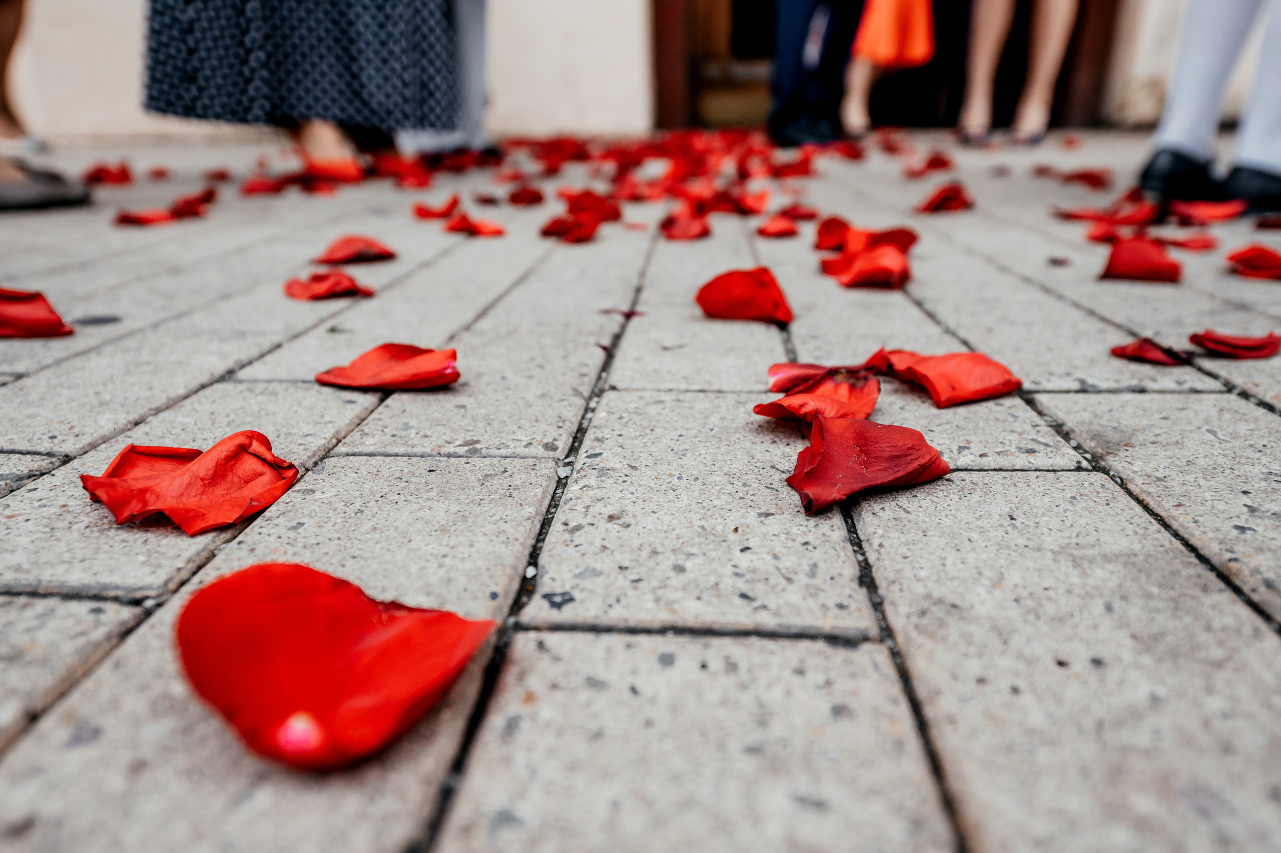 Прогулка в городе и Шуфутинский в 3 сентября. Свадьба для веселых!. Свадебный и семейный фотограф Виктория Носачёва. Щелково, Москва и МО