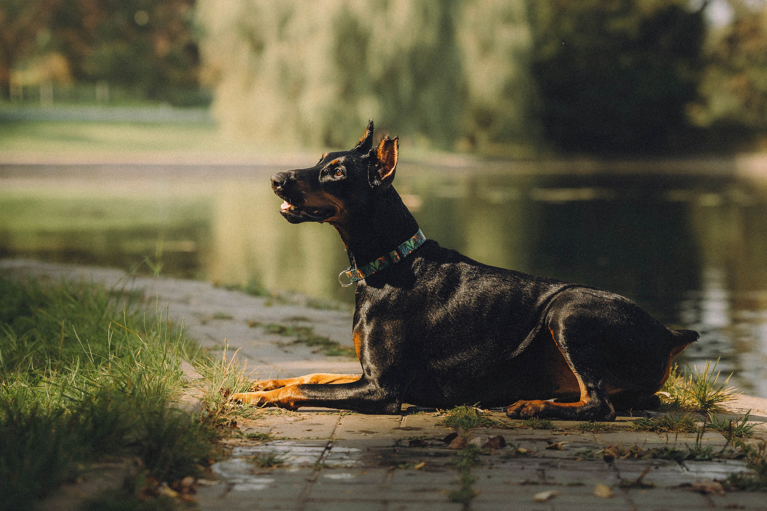 Паша и Хайди