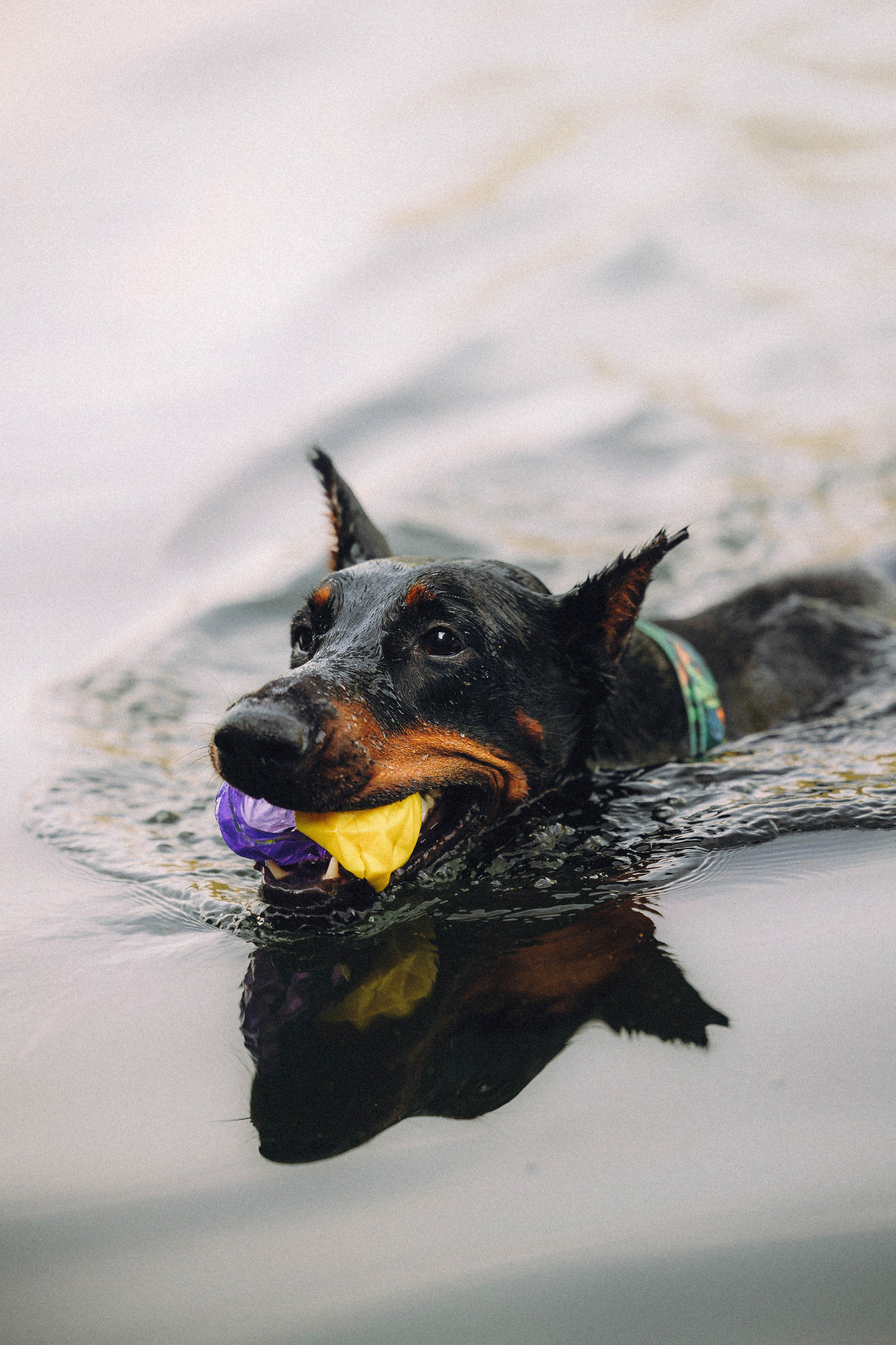 Паша и Хайди