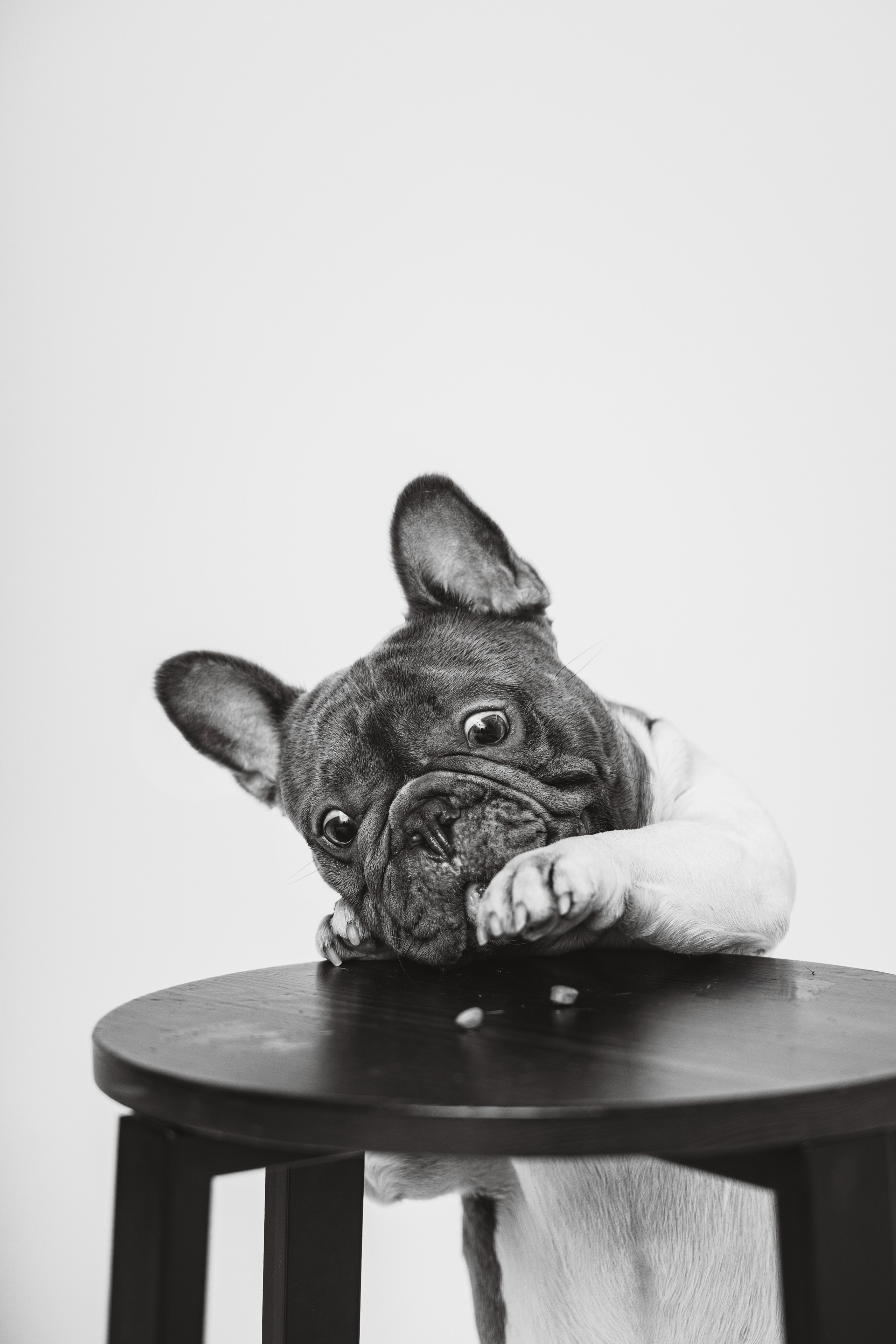 Екатерина, Виталий и Ричи