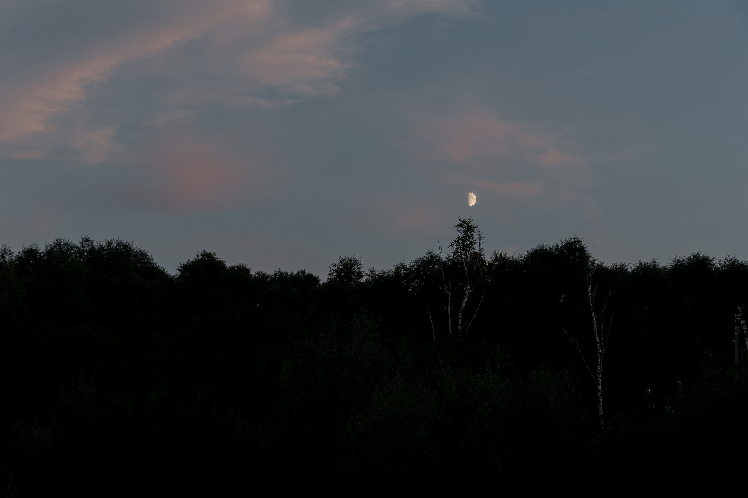 Wedding day Дмитрий и Аня. Свадебный фотограф Колесников Антон