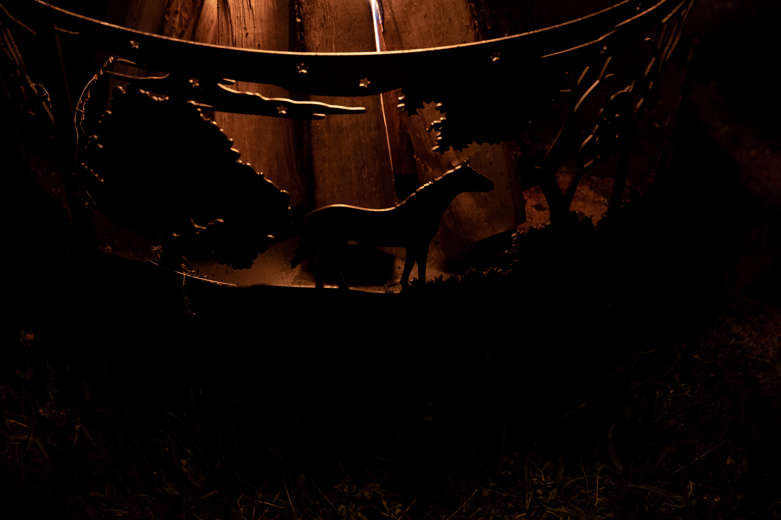 Wedding day Дмитрий и Аня. Свадебный фотограф Колесников Антон