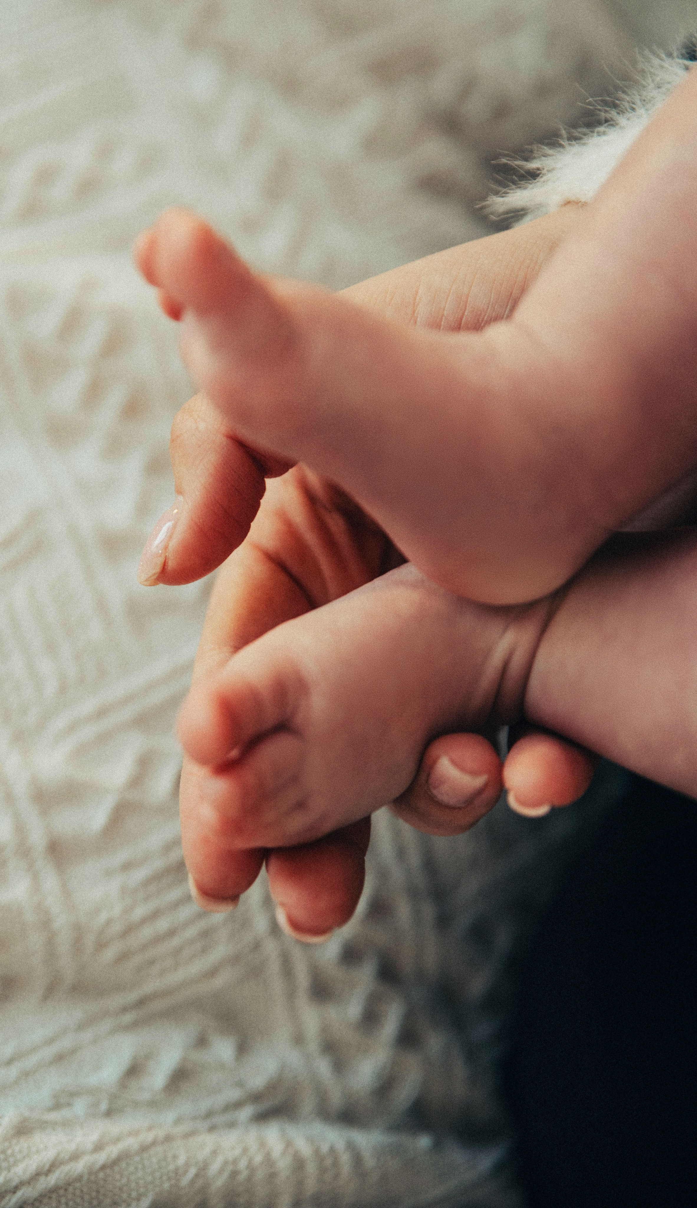 Семейная фотосессия в студии. Семейный фотограф в Миассе Ольга Широковская