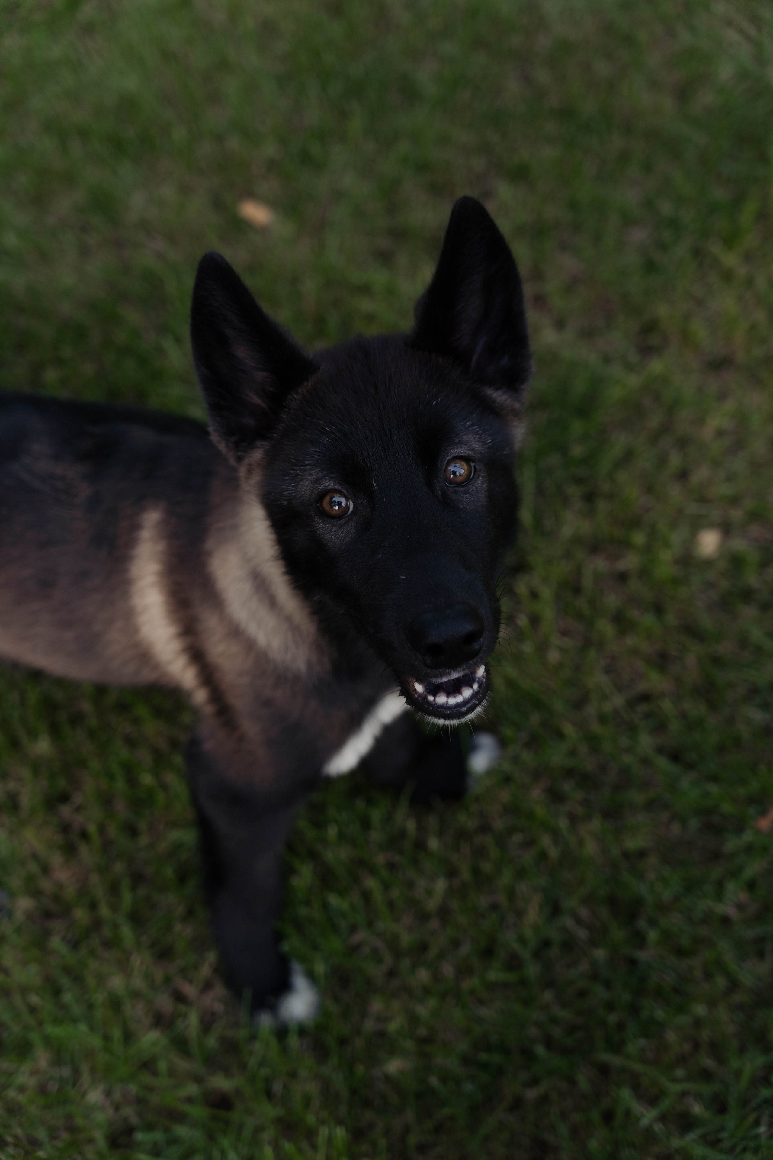 День рождения Марии. ФОТОГРАФ КСЕНИЯ СОСНОВСКАЯ