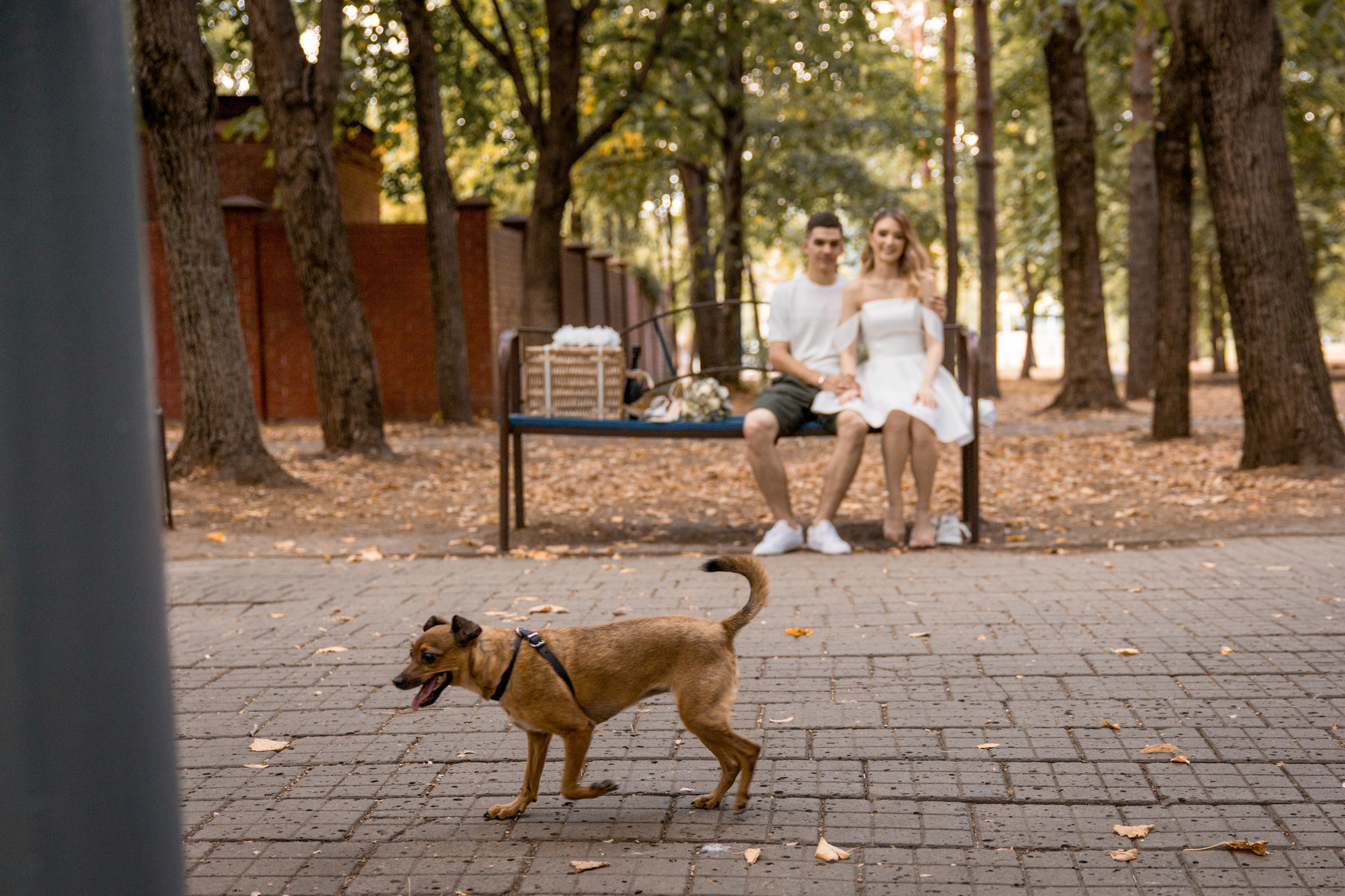 ВиД 8.08.24. Семейный и свадебный фотограф в Геленджике Михаил Шматов