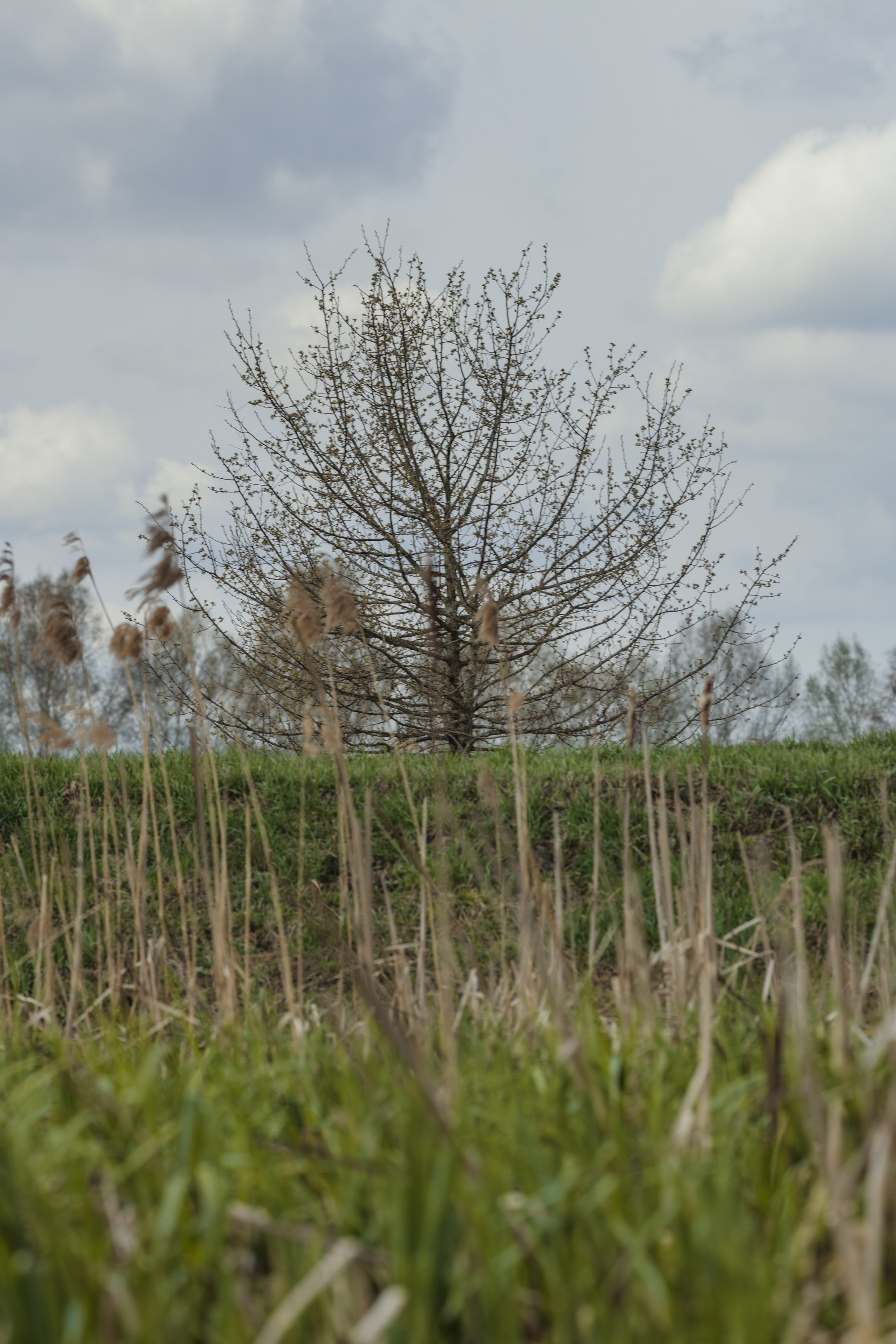 Водный поход 1-й кс по реке Случь. Репортажный фотограф Владимир Беляй