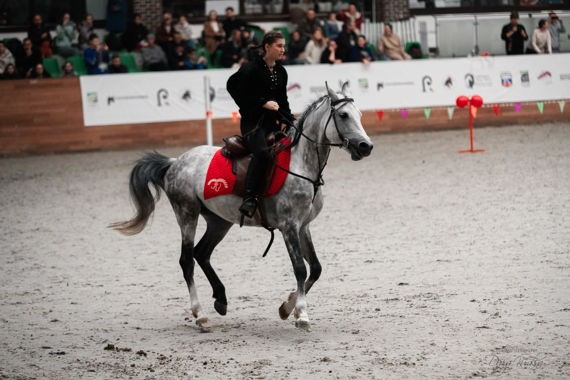 8-я международная выставка Конная Россия. Конный фотограф Куракина Дарья • Фотосессии с лошадьми