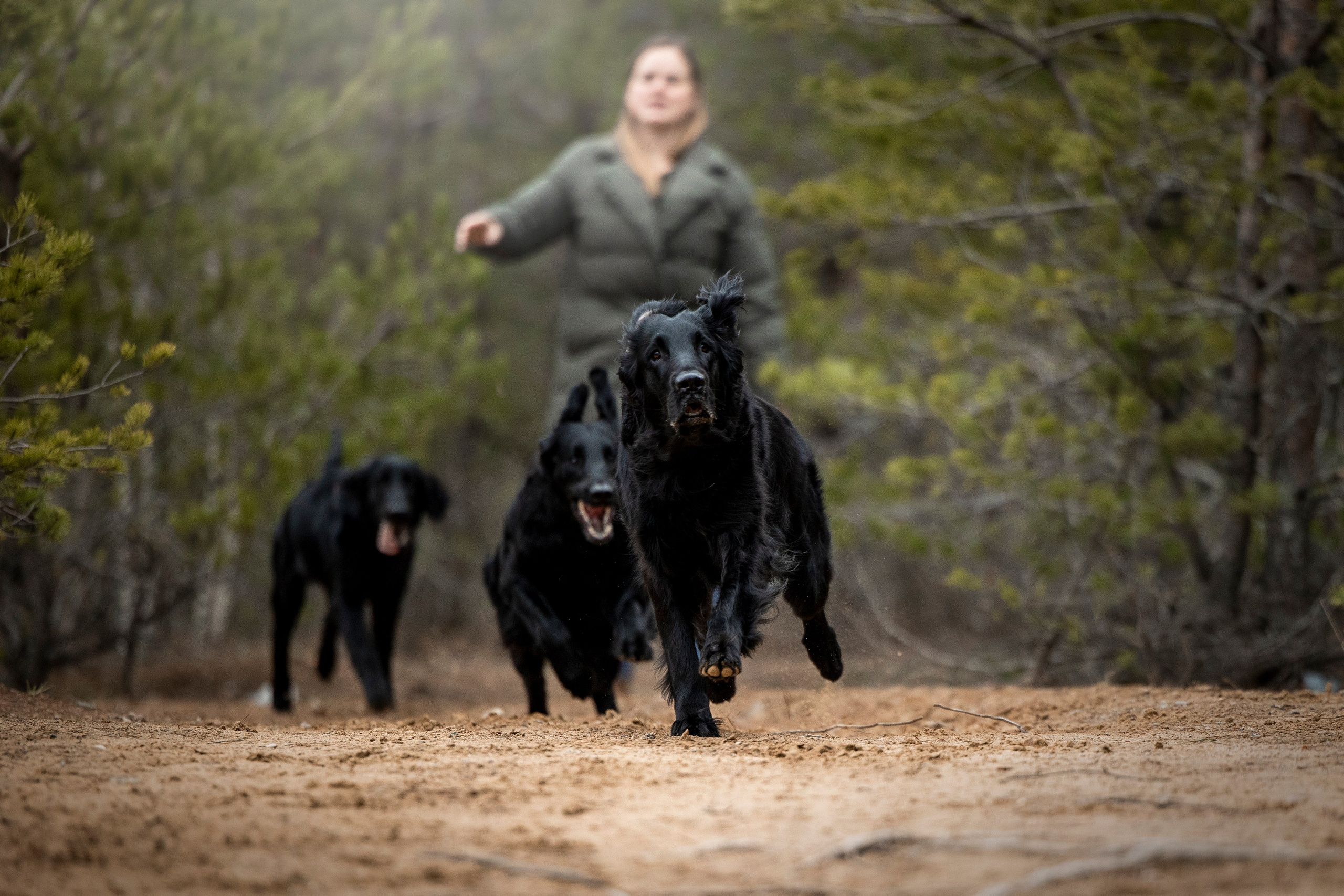 Ора, Ева, Рози и их семья. Фотограф — Анималист | Санкт-Петербург