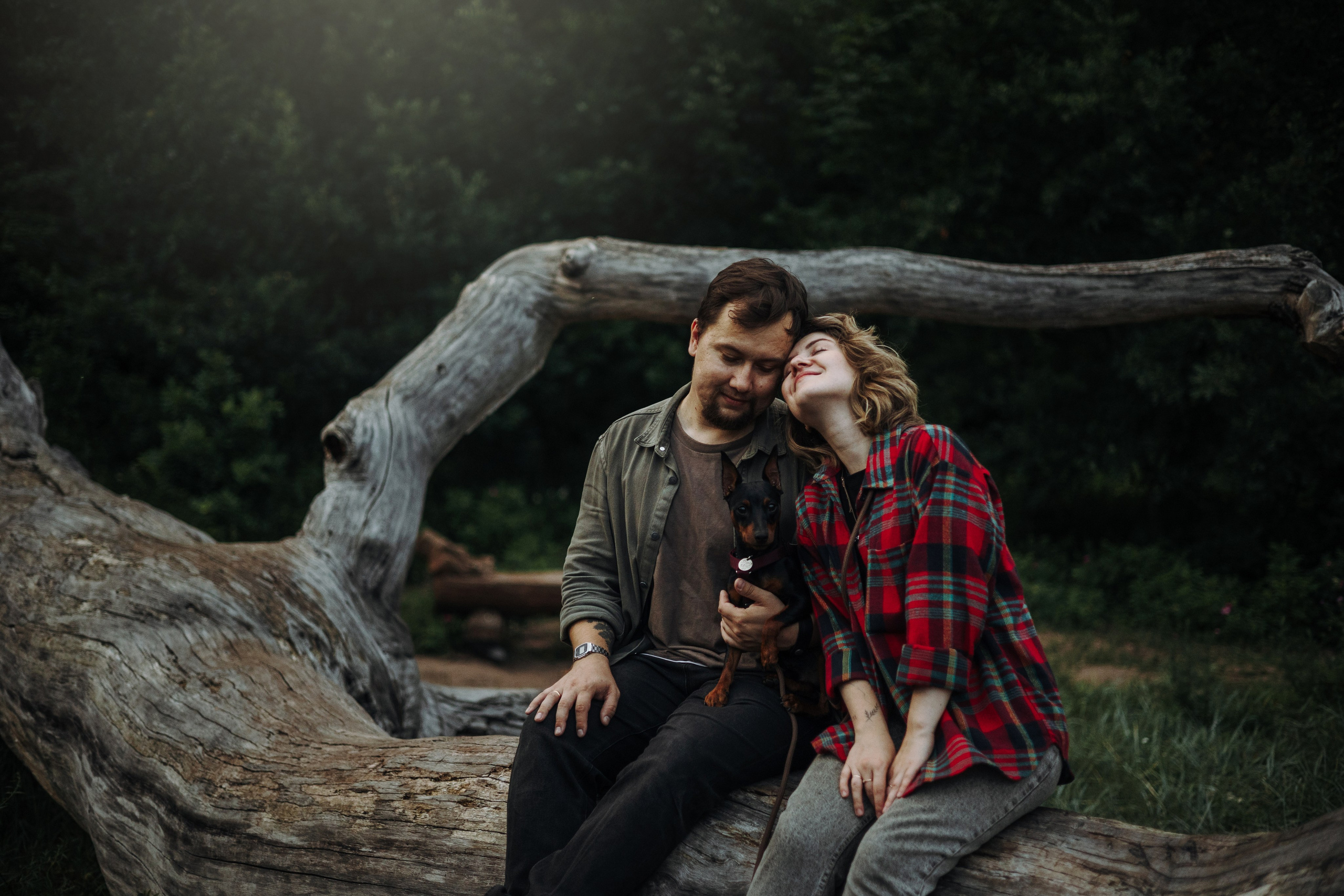 Сириус и его семья. Фотограф — Анималист | Санкт-Петербург