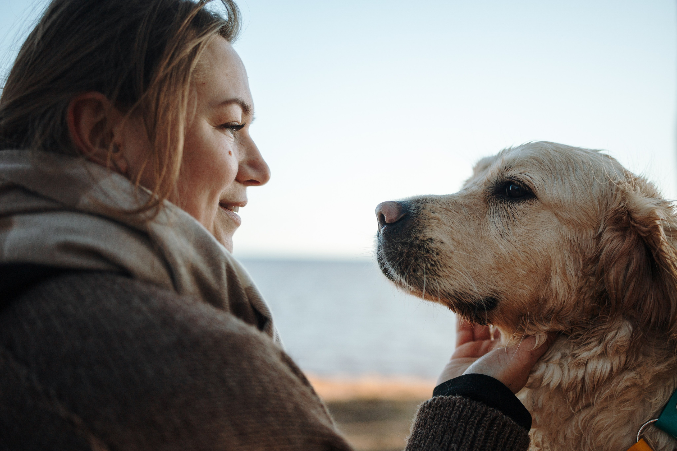 Катя и ее девочки. Фотограф — Анималист | Санкт-Петербург