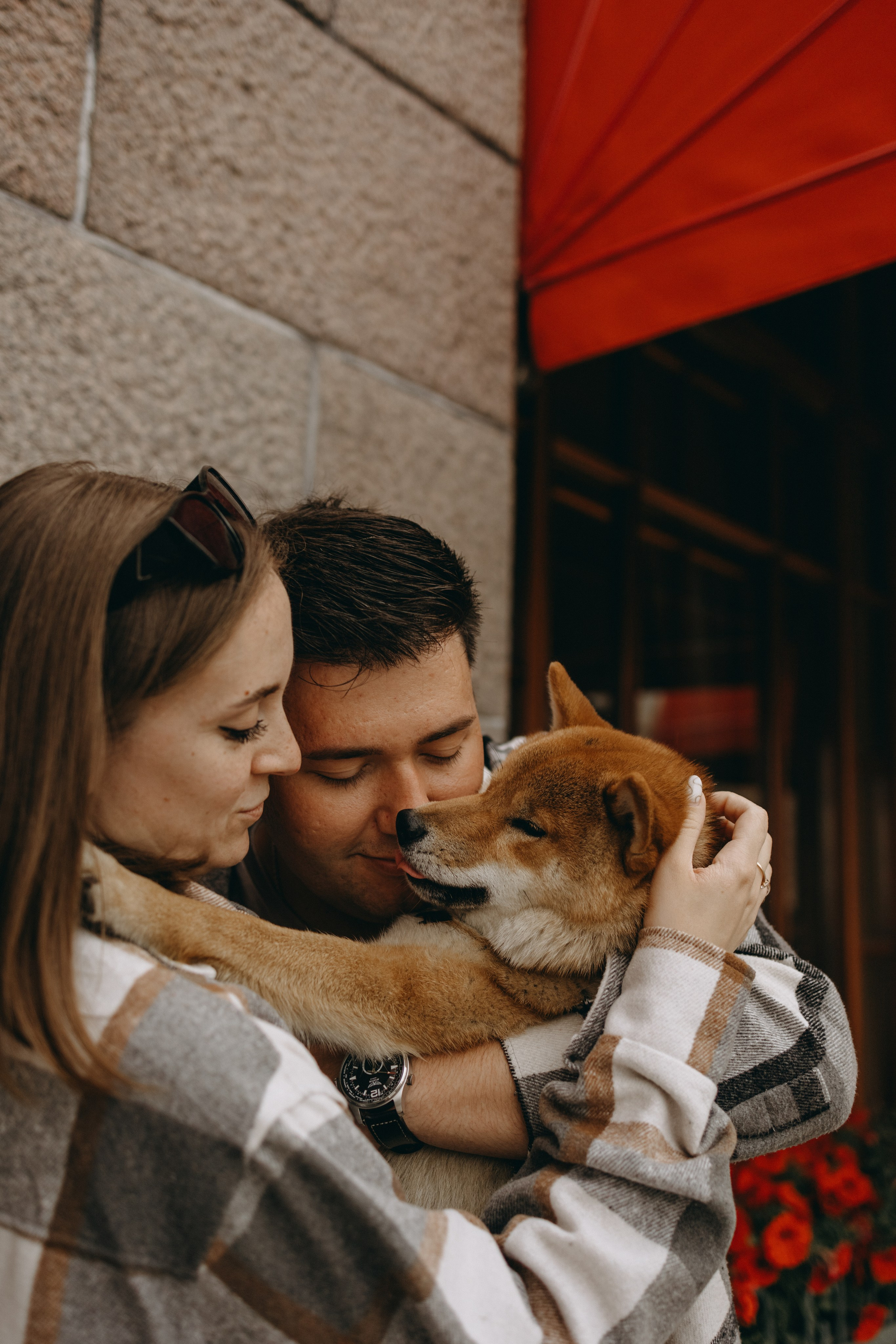 Сириус и его семья. Фотограф — Анималист | Санкт-Петербург