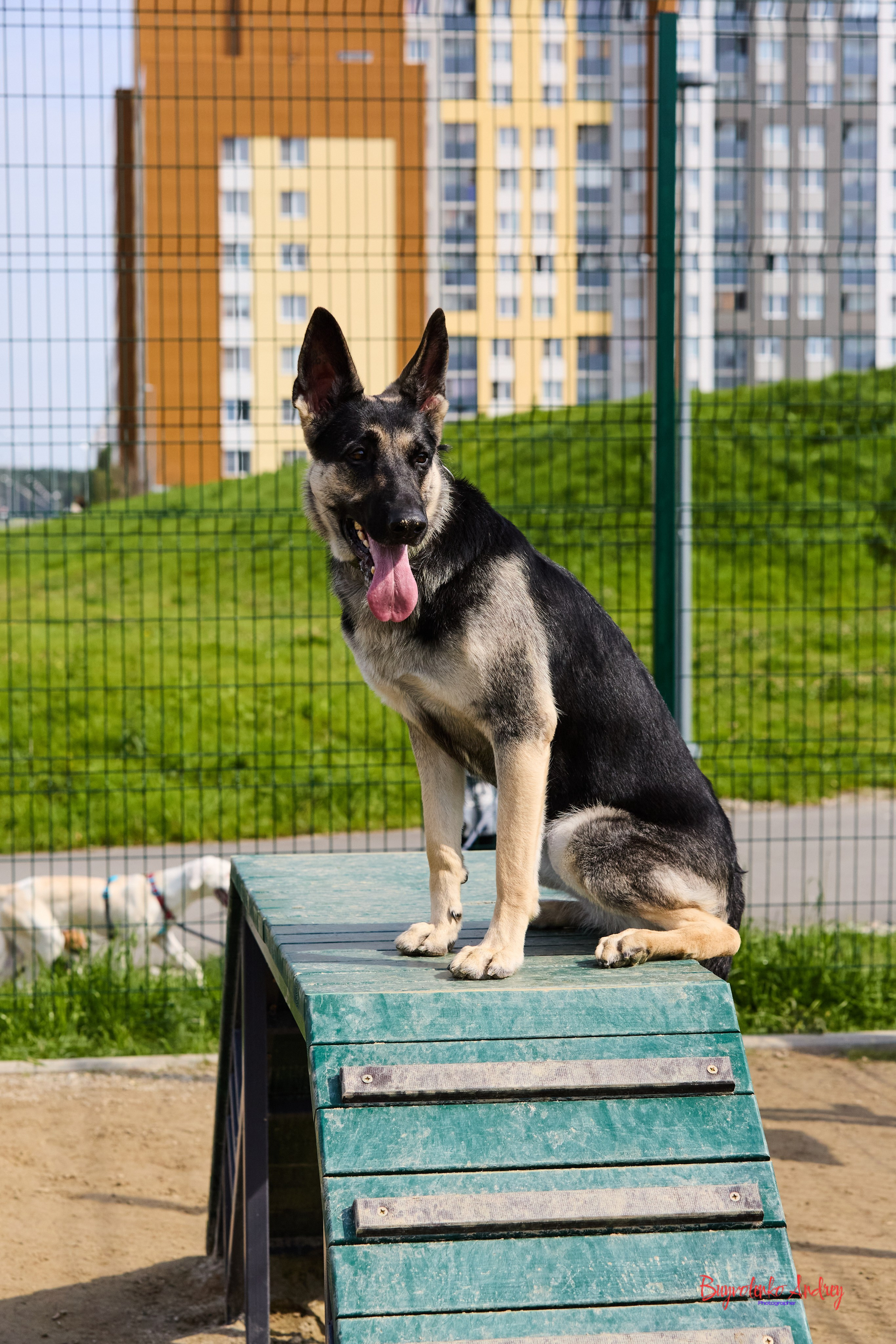 Проект фотопрогулка с хвостиком. Buyvolenko Andrey