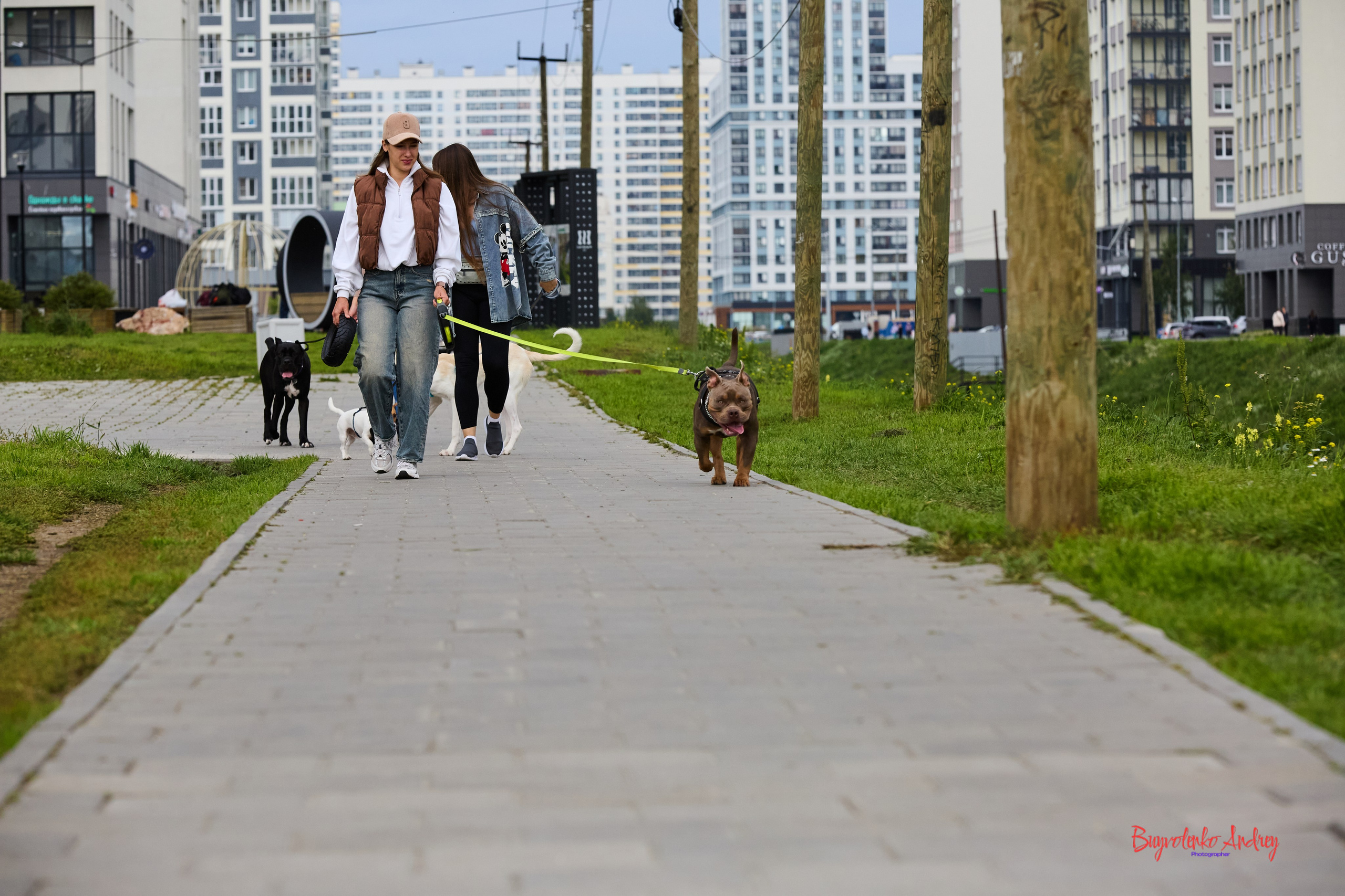 Проект фотопрогулка с хвостиком. Buyvolenko Andrey