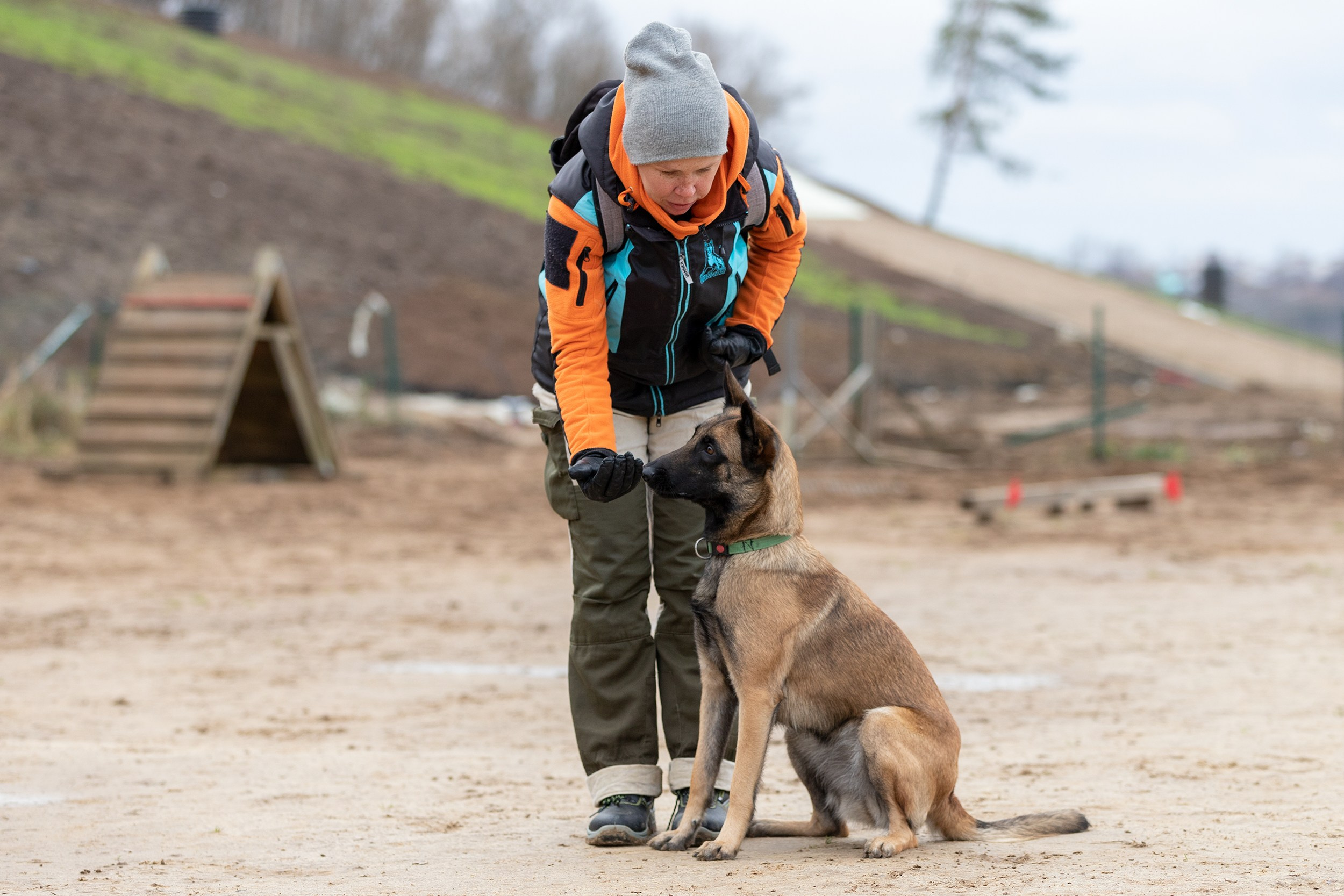 Вера и Чейз на экзамене ОКД. Фотограф-анималист в Калуге Мария Шерскова