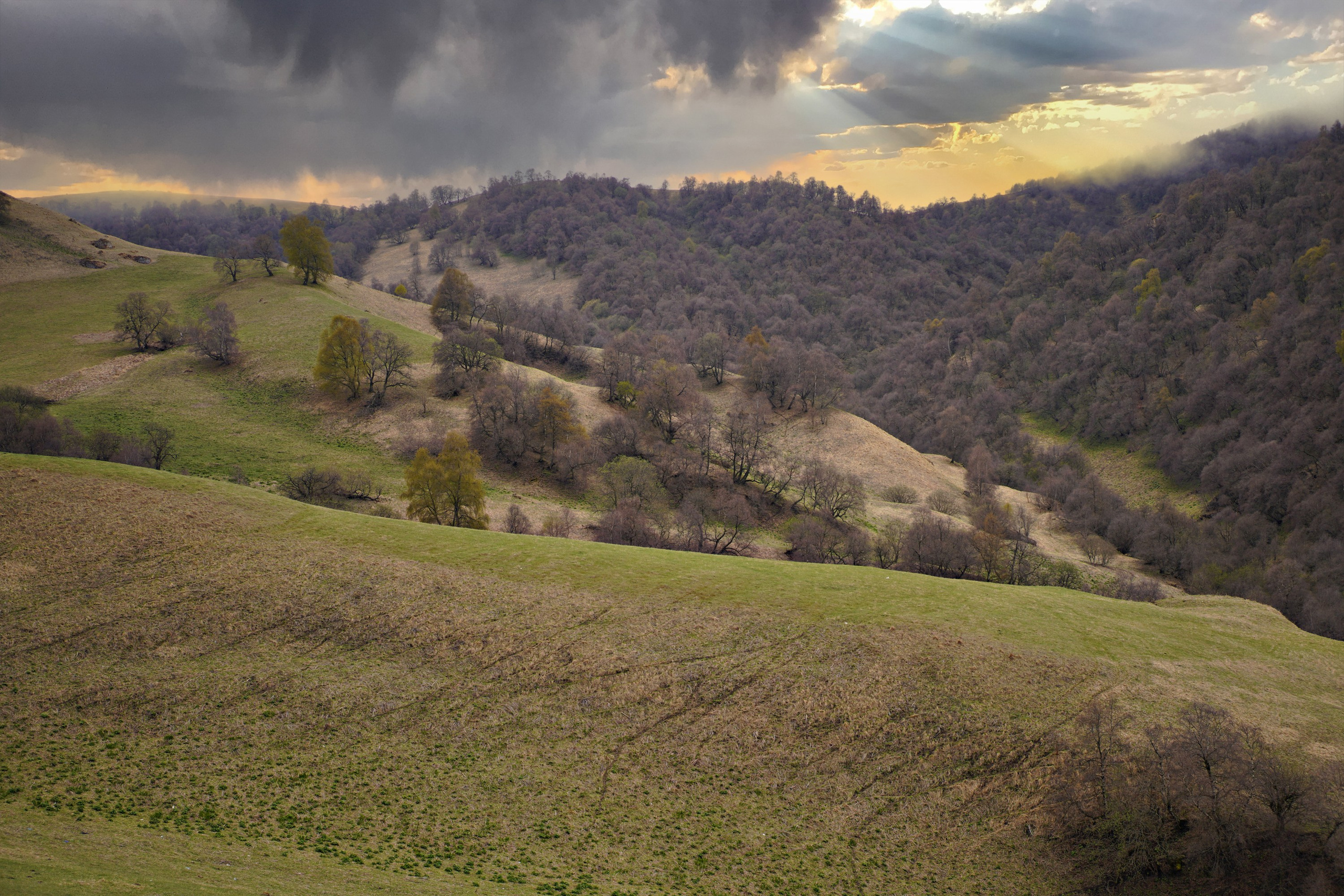 Природа и животные. Творческий фотограф Ирина Баландина.  Санкт-Петербург, Мурманск