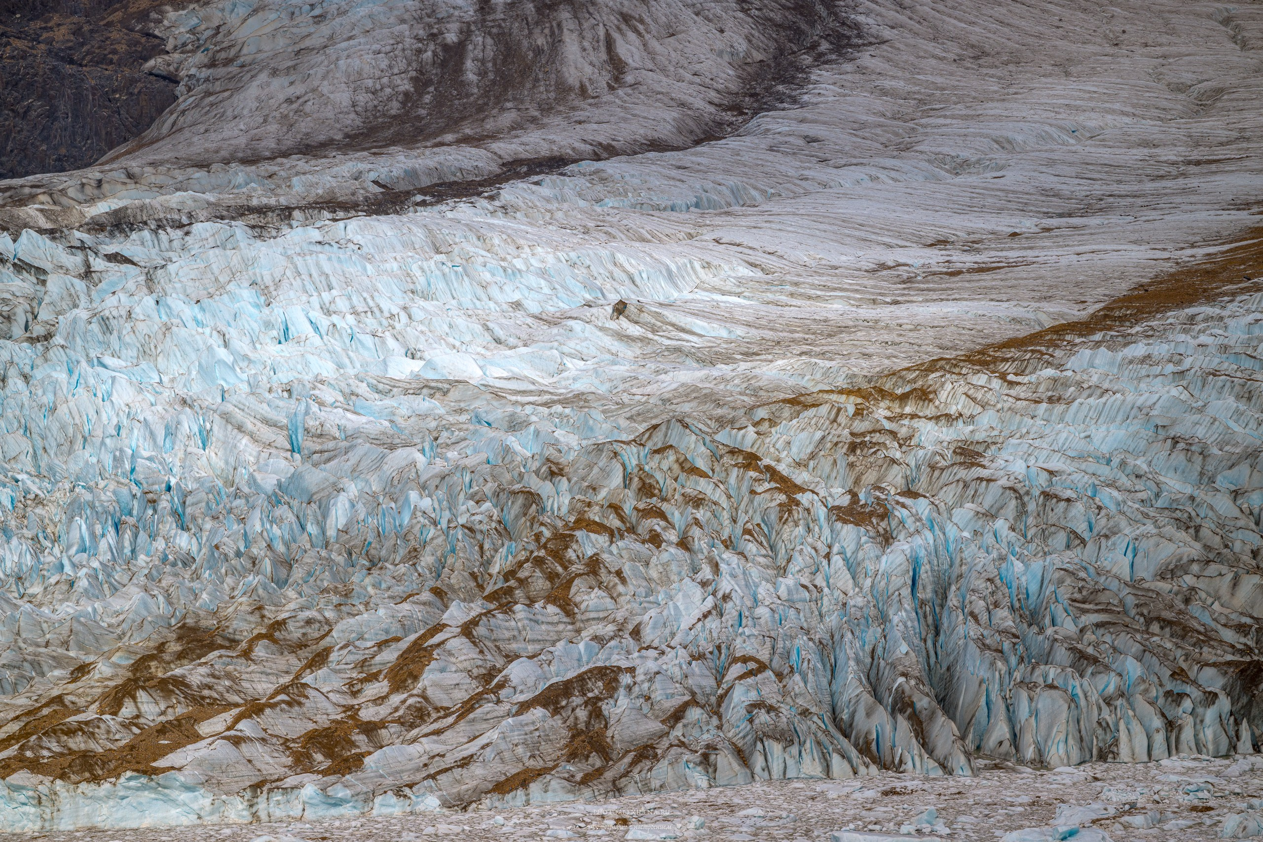 Осязаемая красота. Авторские стильные фотокартины