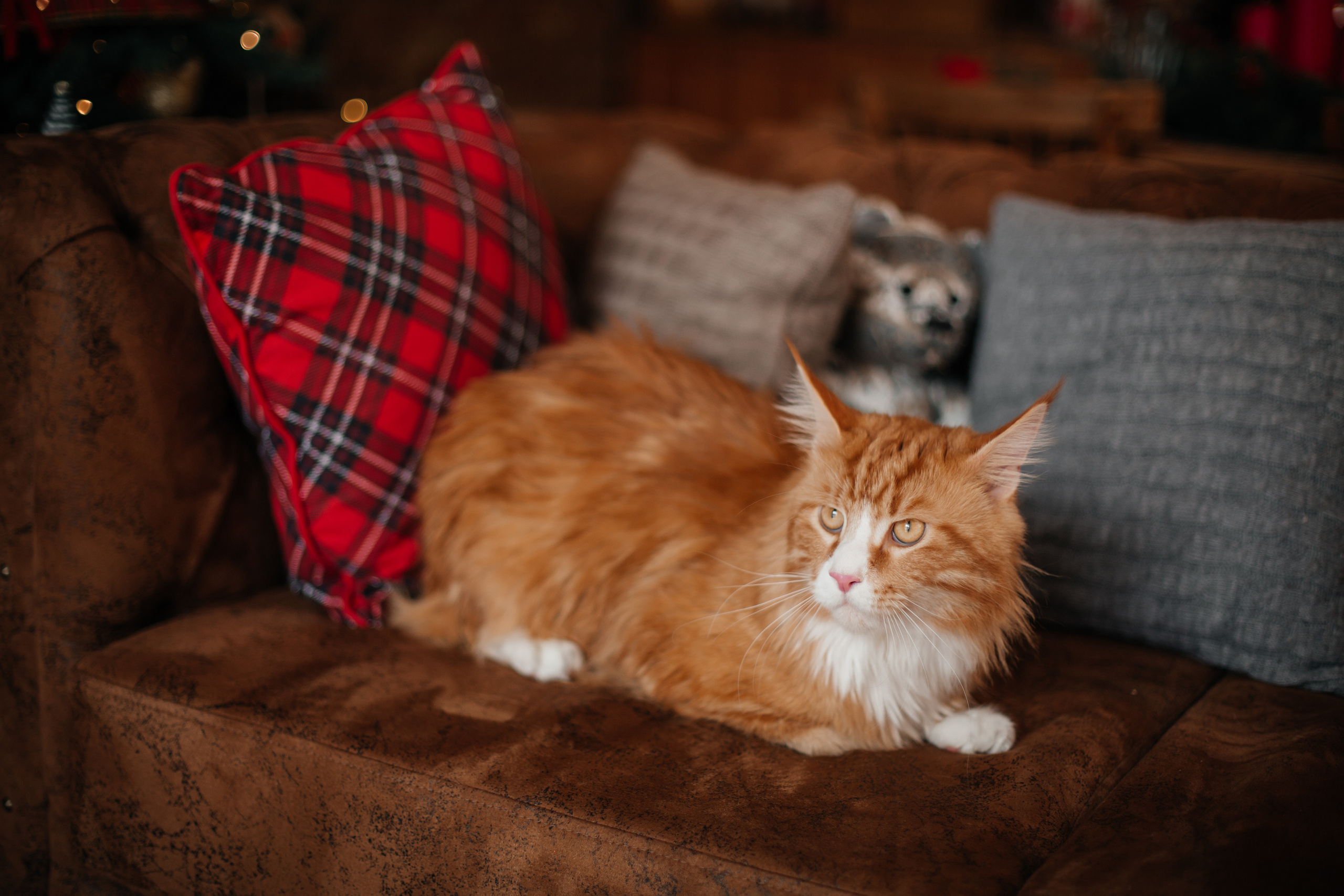 Юля и Роман. Свадебный и семейный фотограф в Новосибирске Ирина Дорошкова