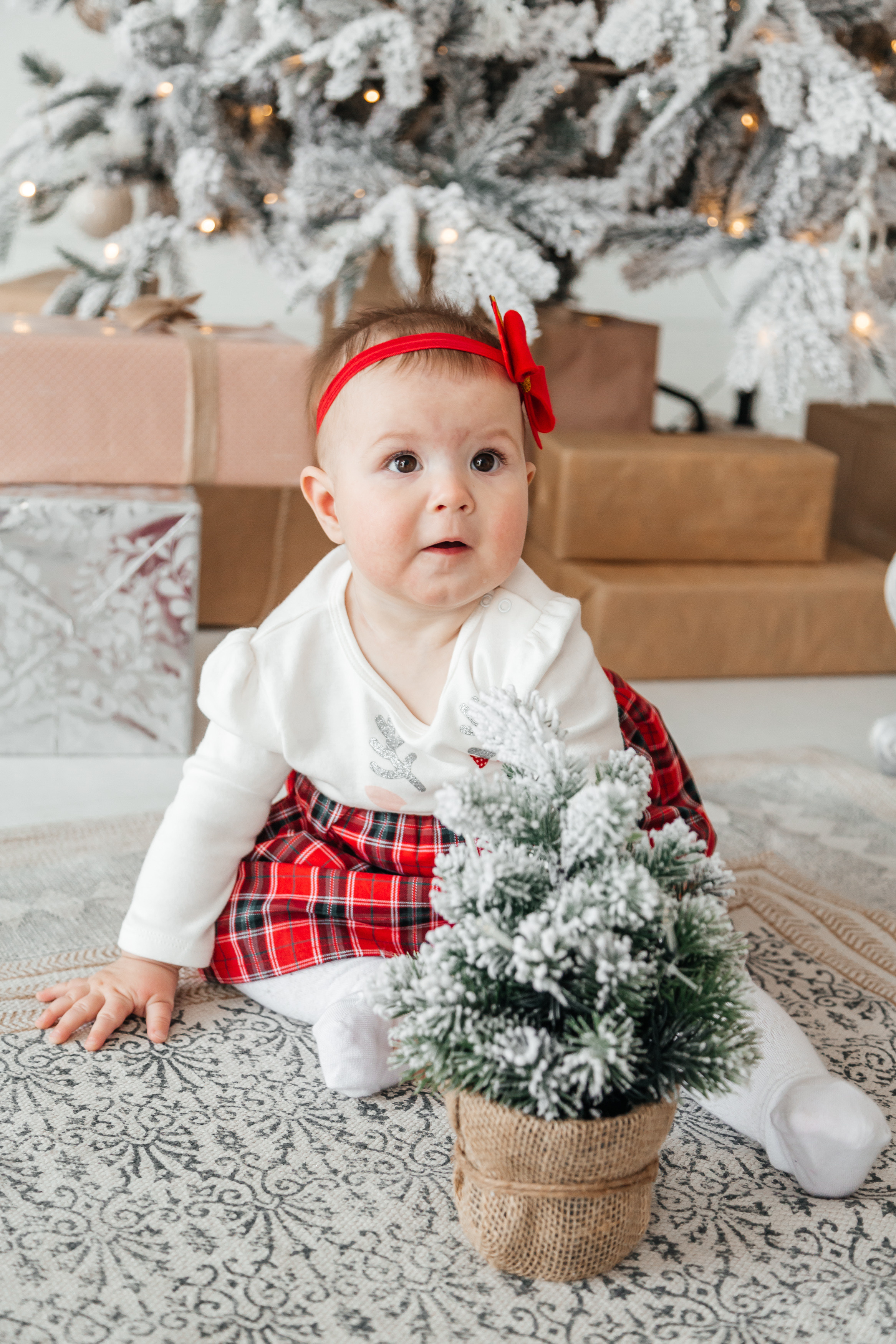Анастасия, Алексей и Алиса. Свадебный и семейный фотограф в Новосибирске Ирина Дорошкова