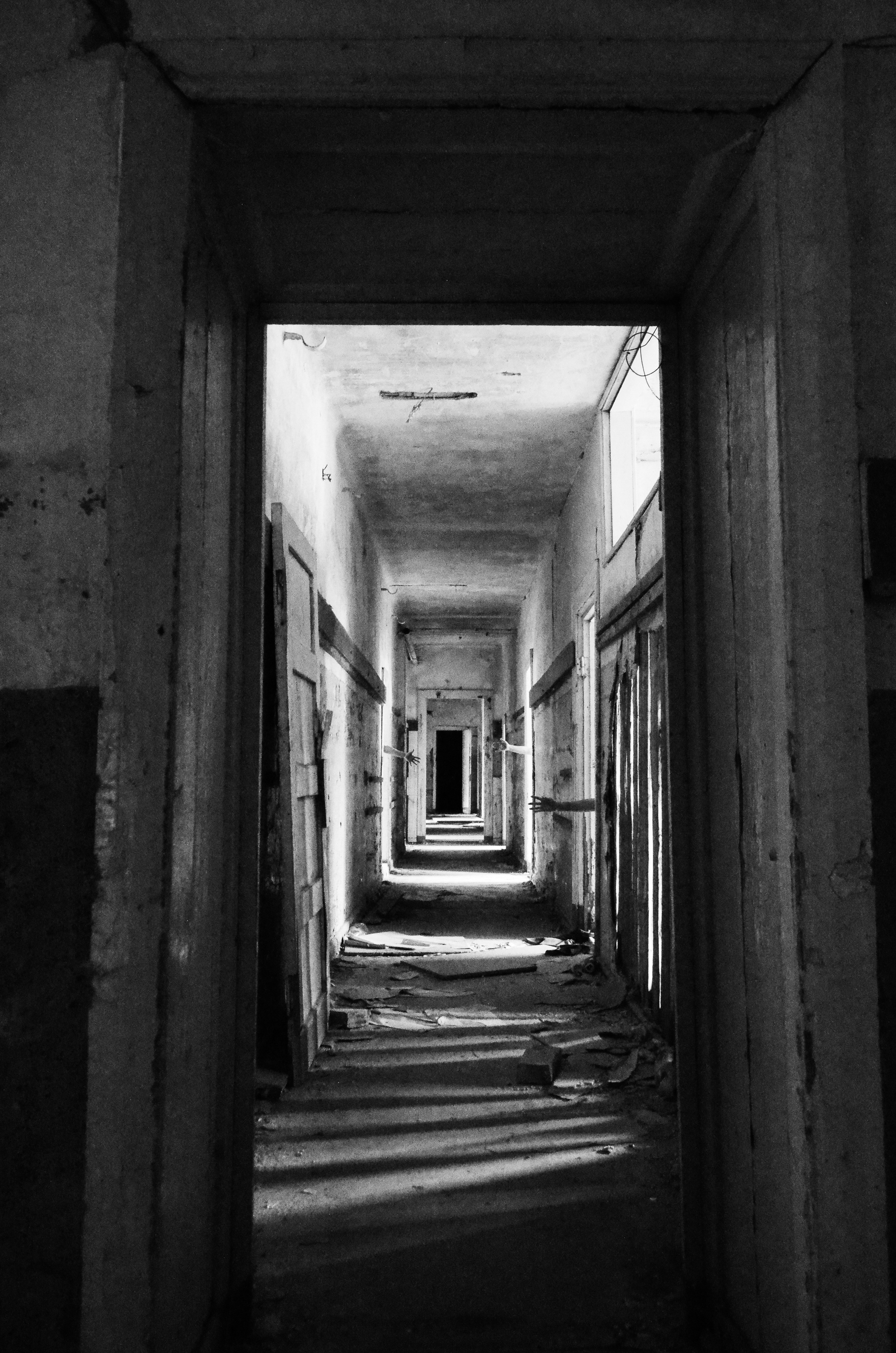 Творческие. Фотограф в г. Светлогорск Ольга Трифонова