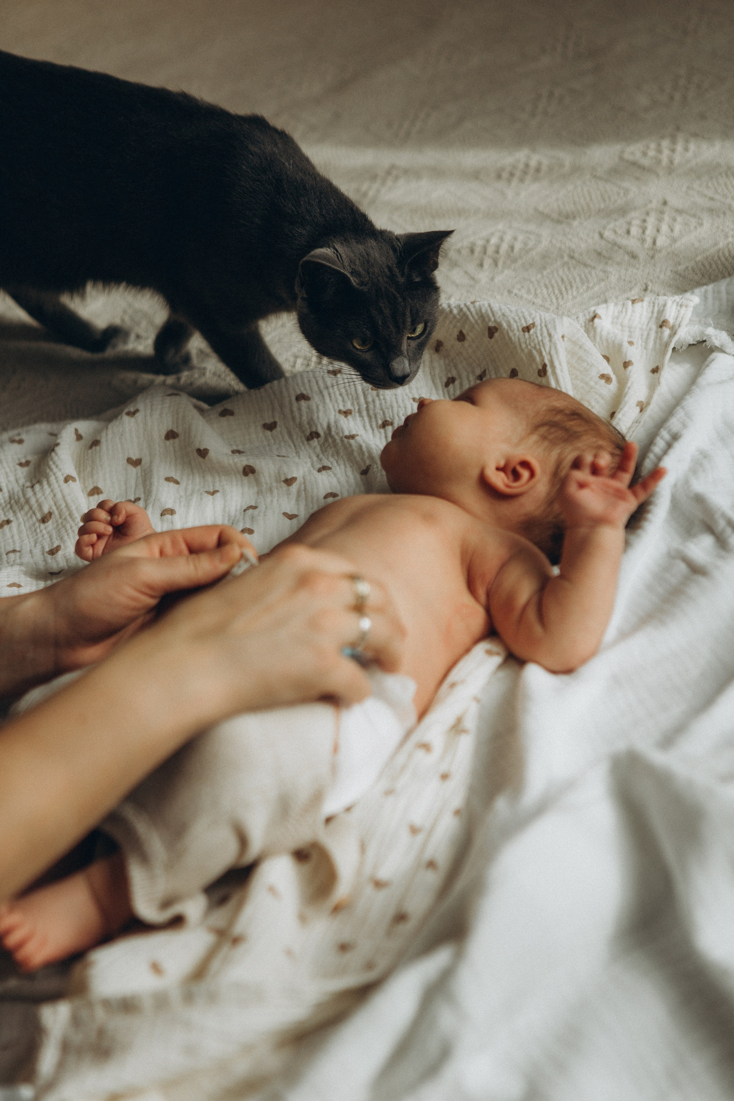 Миша. Семейный фотограф в Краснодаре Виктория Кокоулина