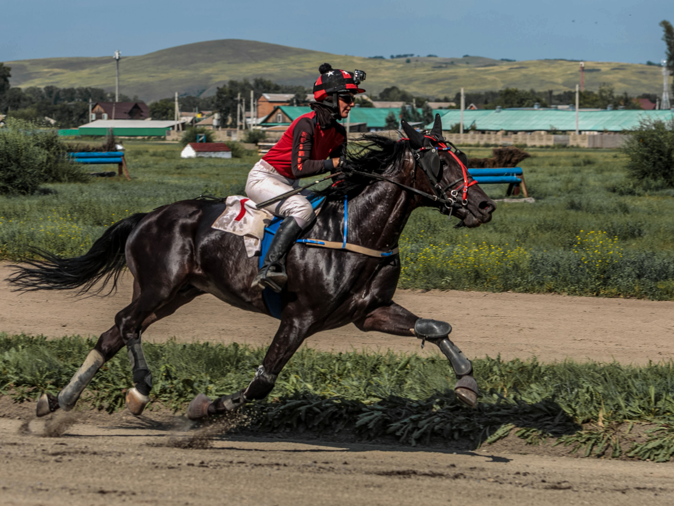Зарисовки Абаканский ипподром 2025. Конный фотограф в Красноярске — Любовь Похабова