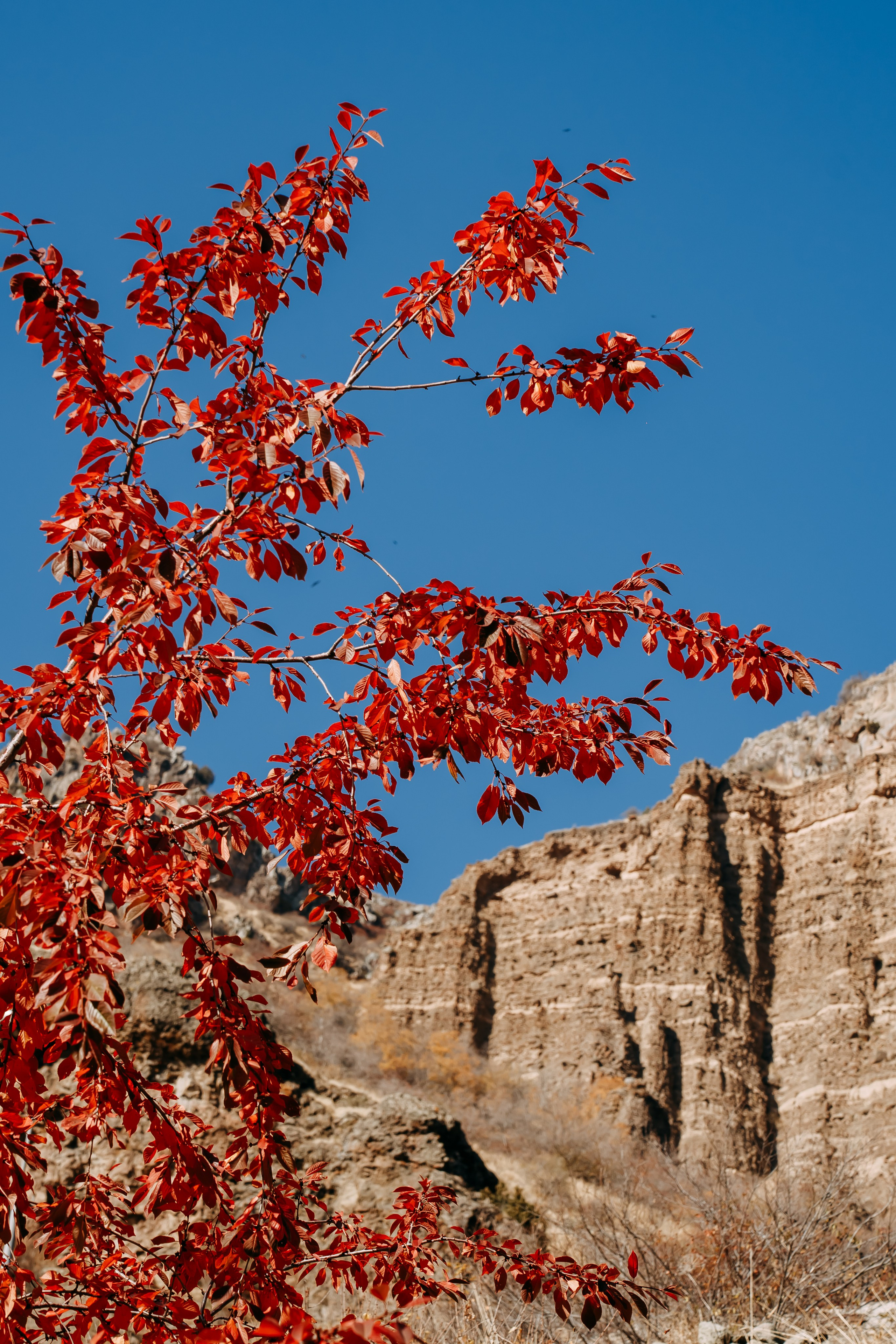 Армения. Фотосъемка, свадебная фотосъемка, Москва, Нижний Новгород