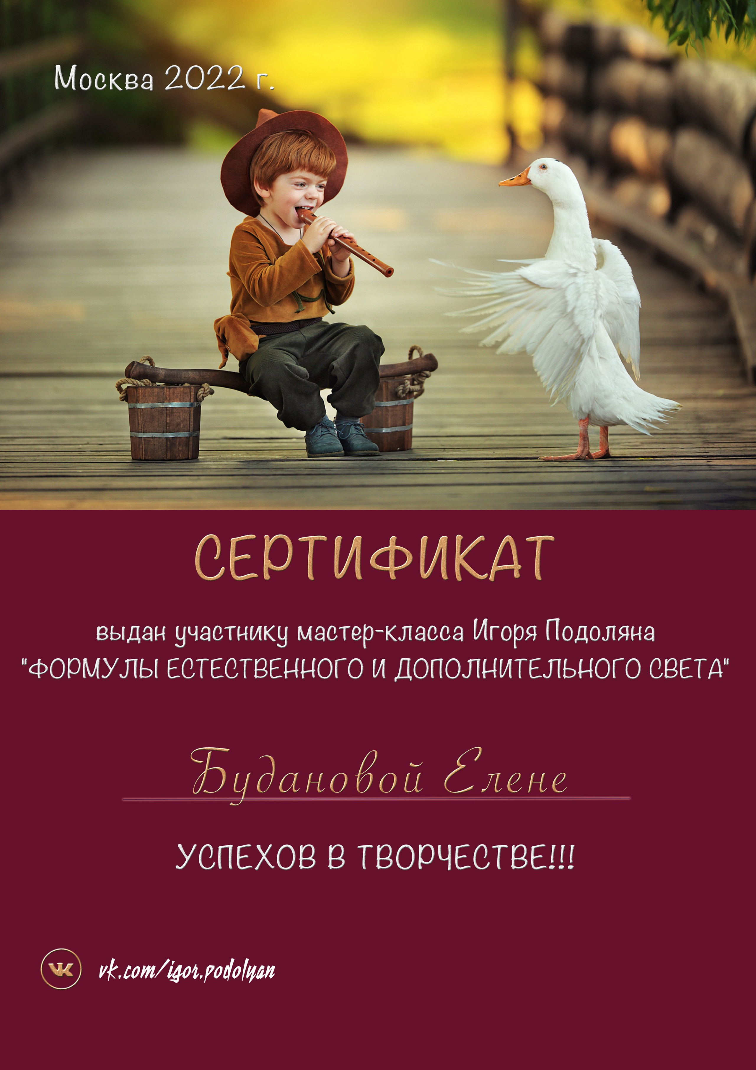 Сертификаты. Фотограф Елена Буданова Тверь