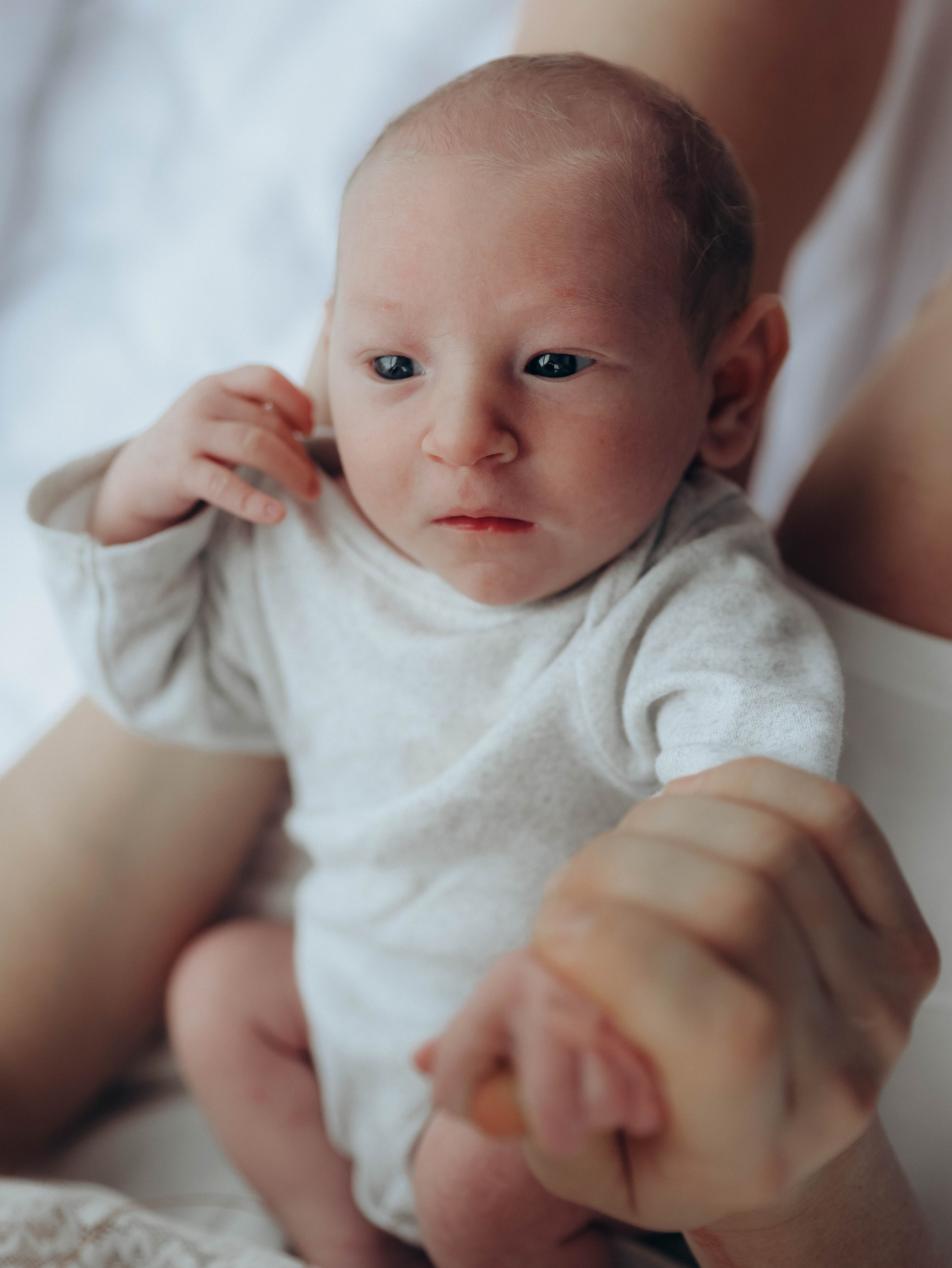 Любовь и котики. Мультифотограф Динара Ахмедзянова