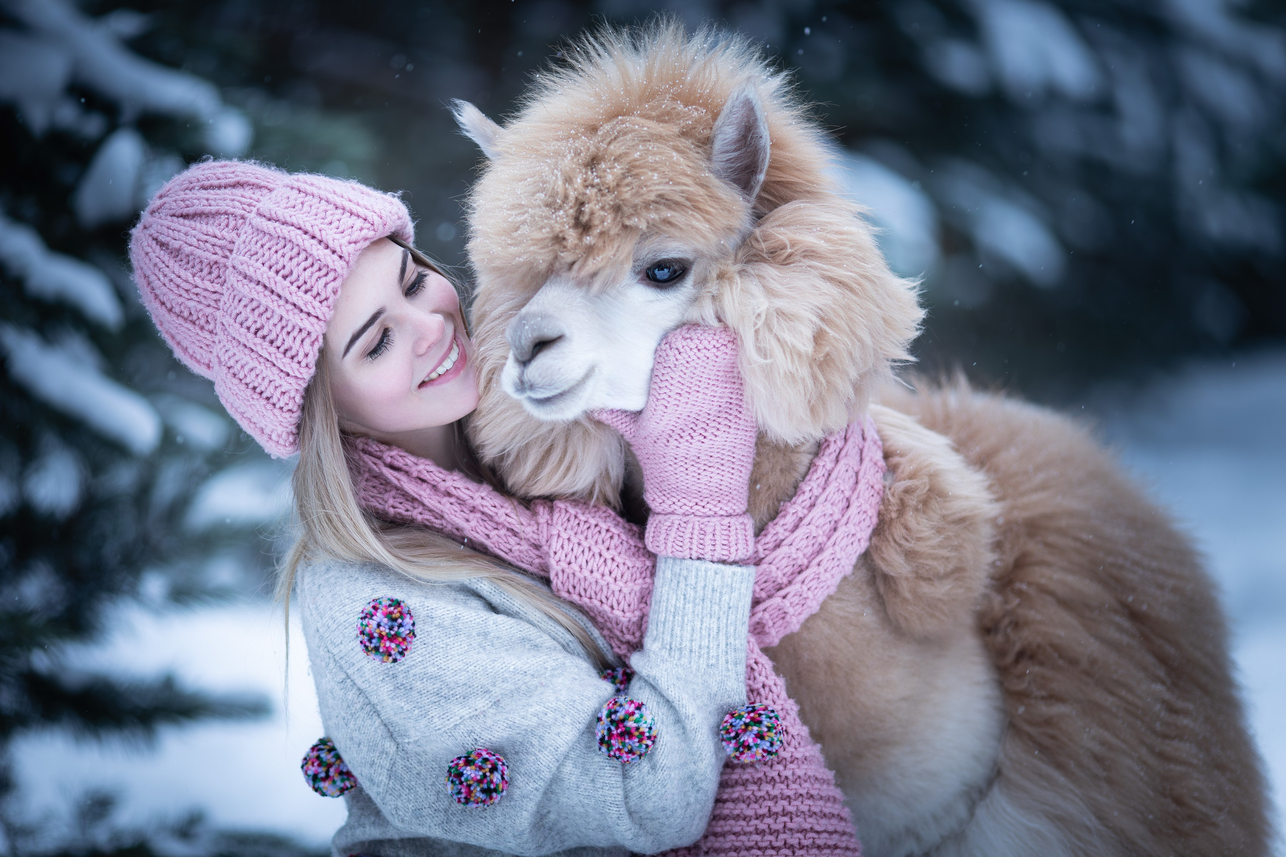 Фотосессия с ламой