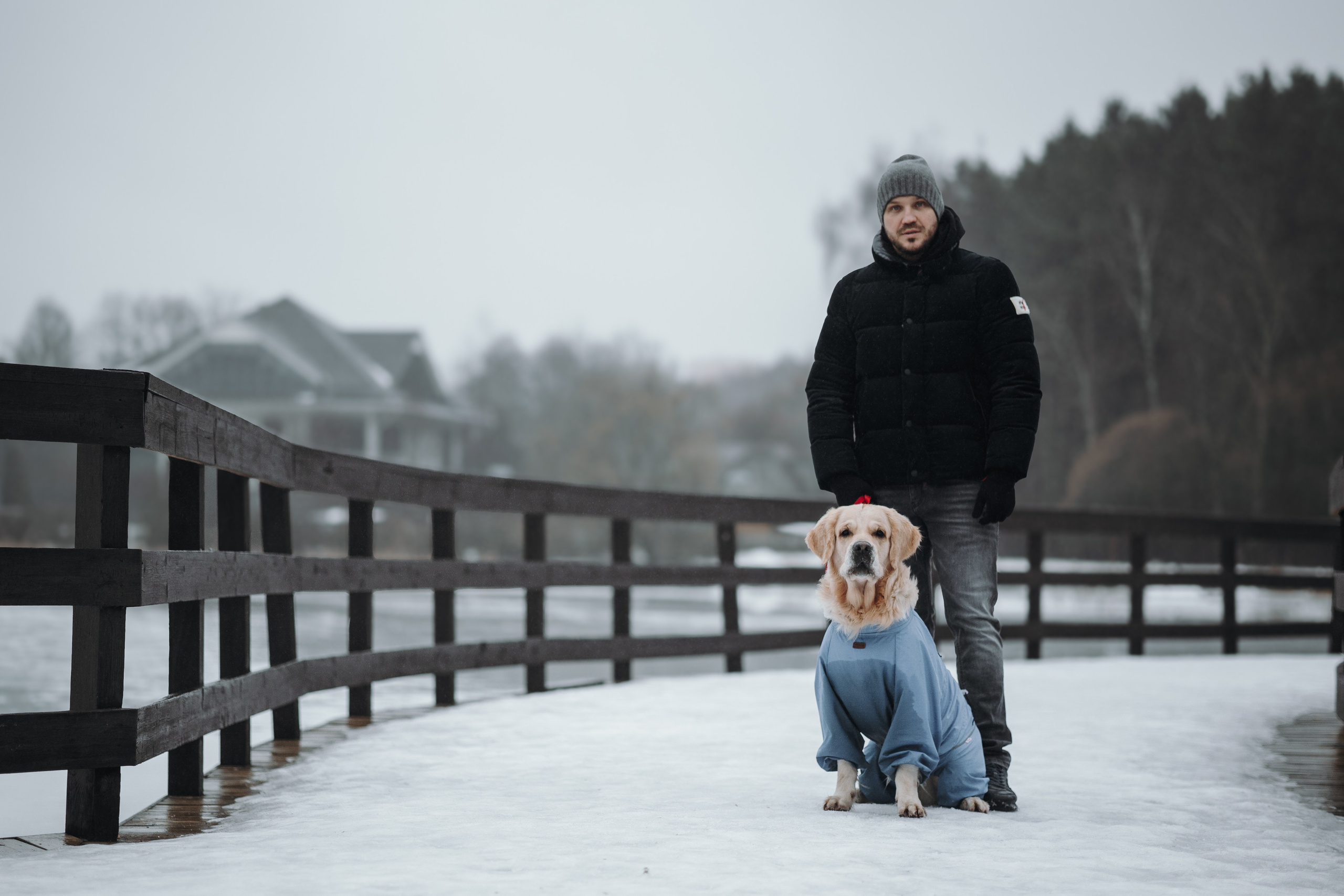 Шелби, Ватсон и ребята. Фотограф — Анималист | Санкт-Петербург