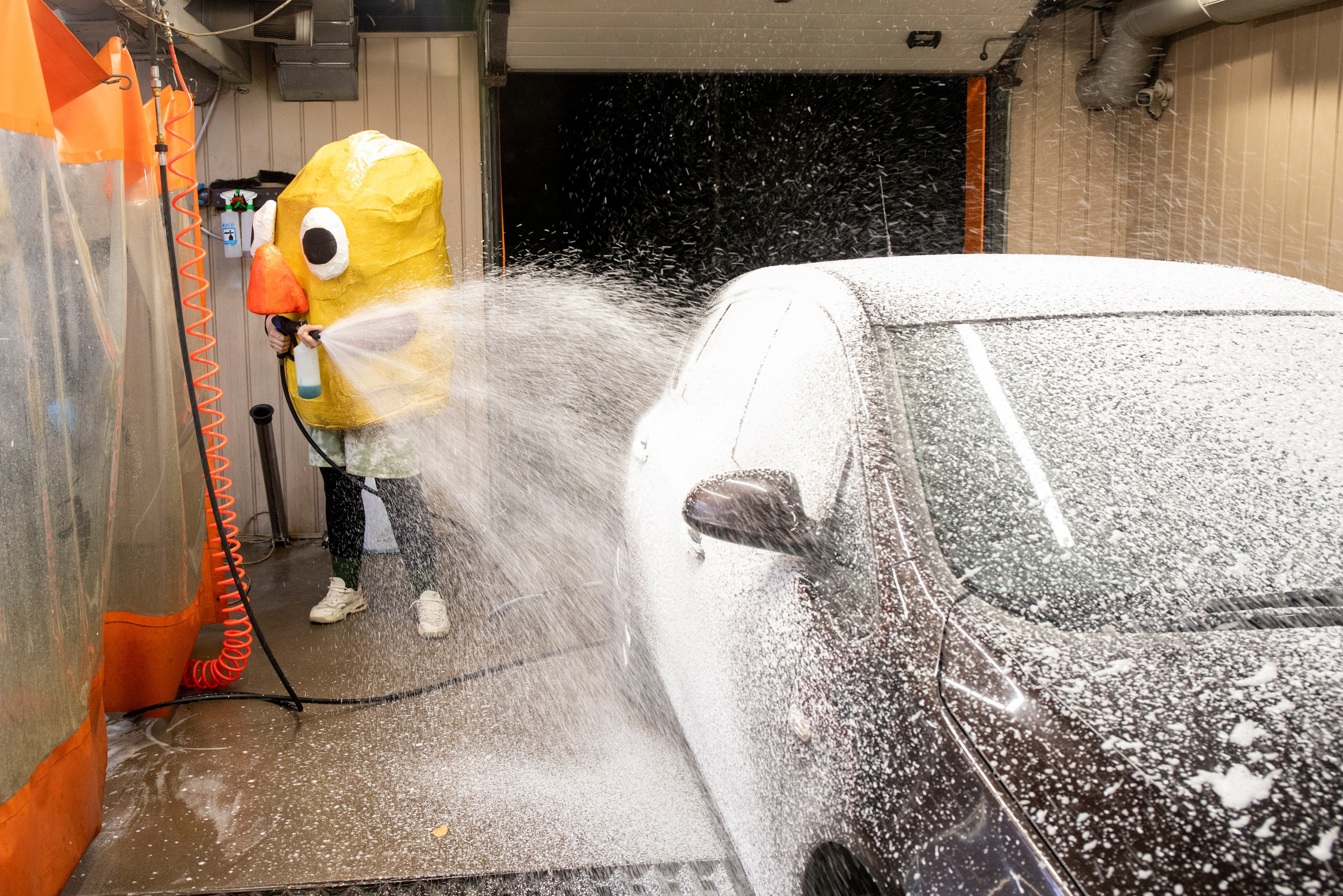Окартофливание. Портретный фотограф Ванинен Анастасия. Санкт-Петербург