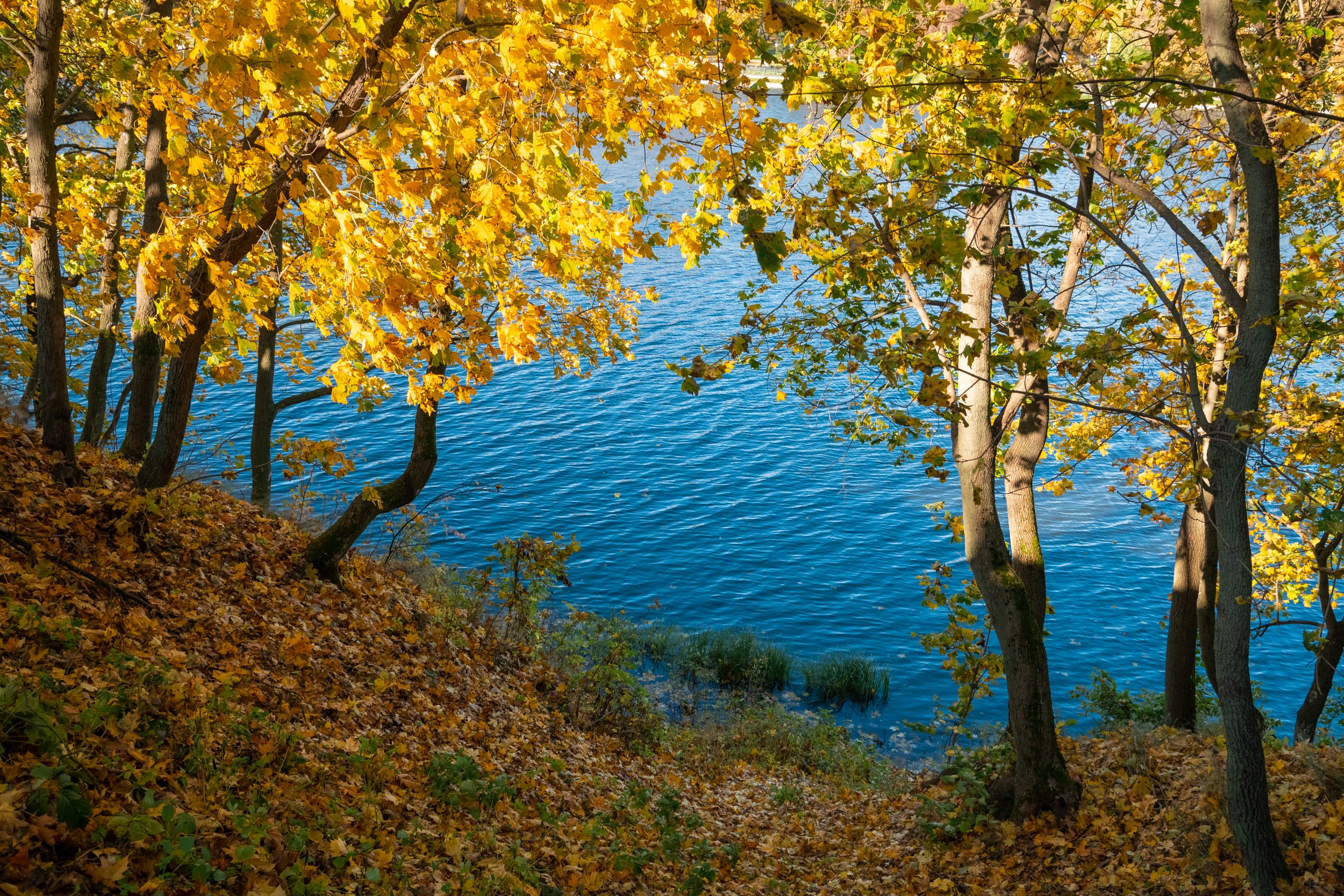 Богородицк. Фотограф и видеооператор в Туле | Даниил Рыбак