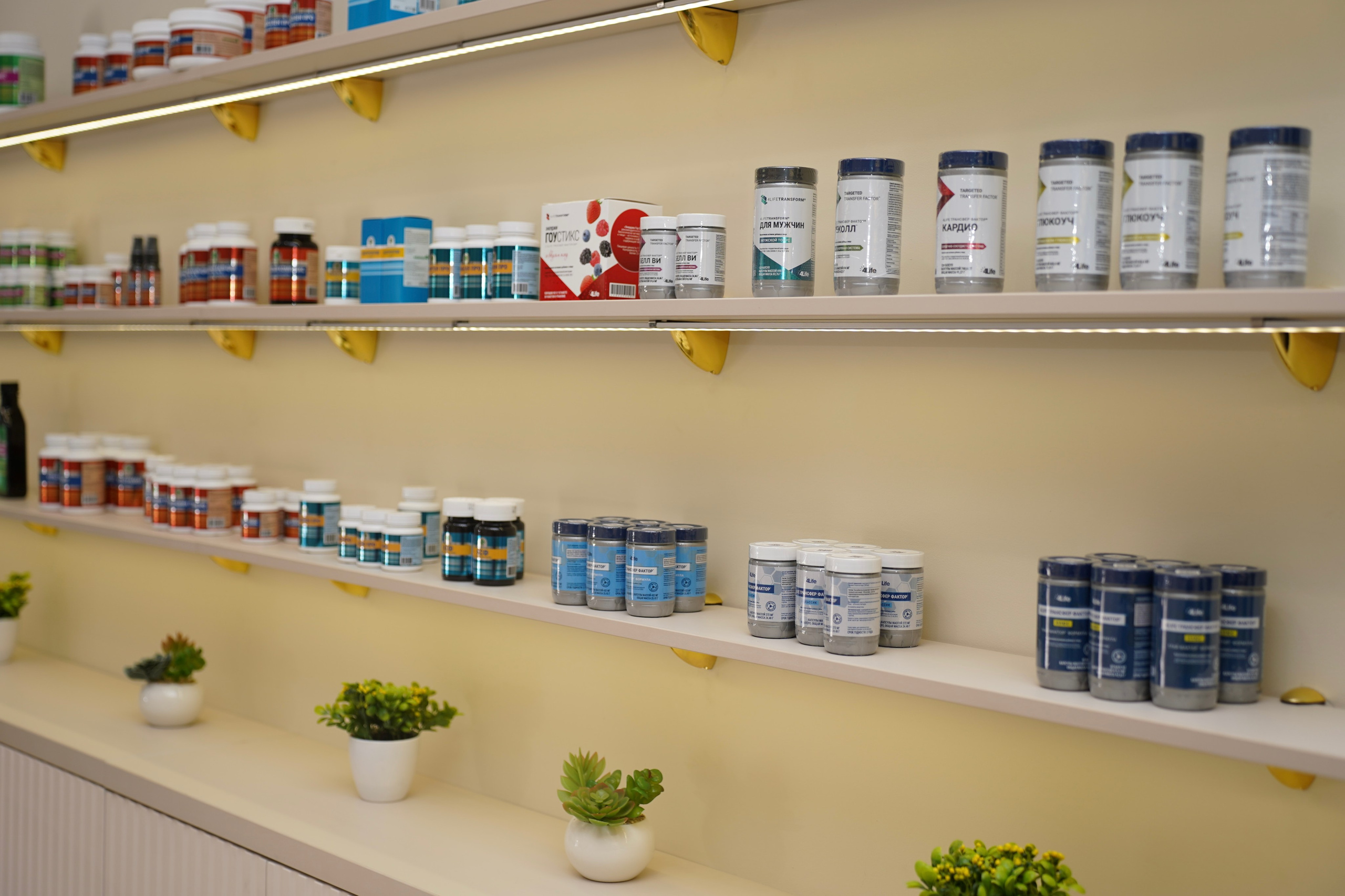 Центр нутрициологии и здорового питания. Фотограф Новороссийск | Геленджик и ЮФО Эльвина Ясинская