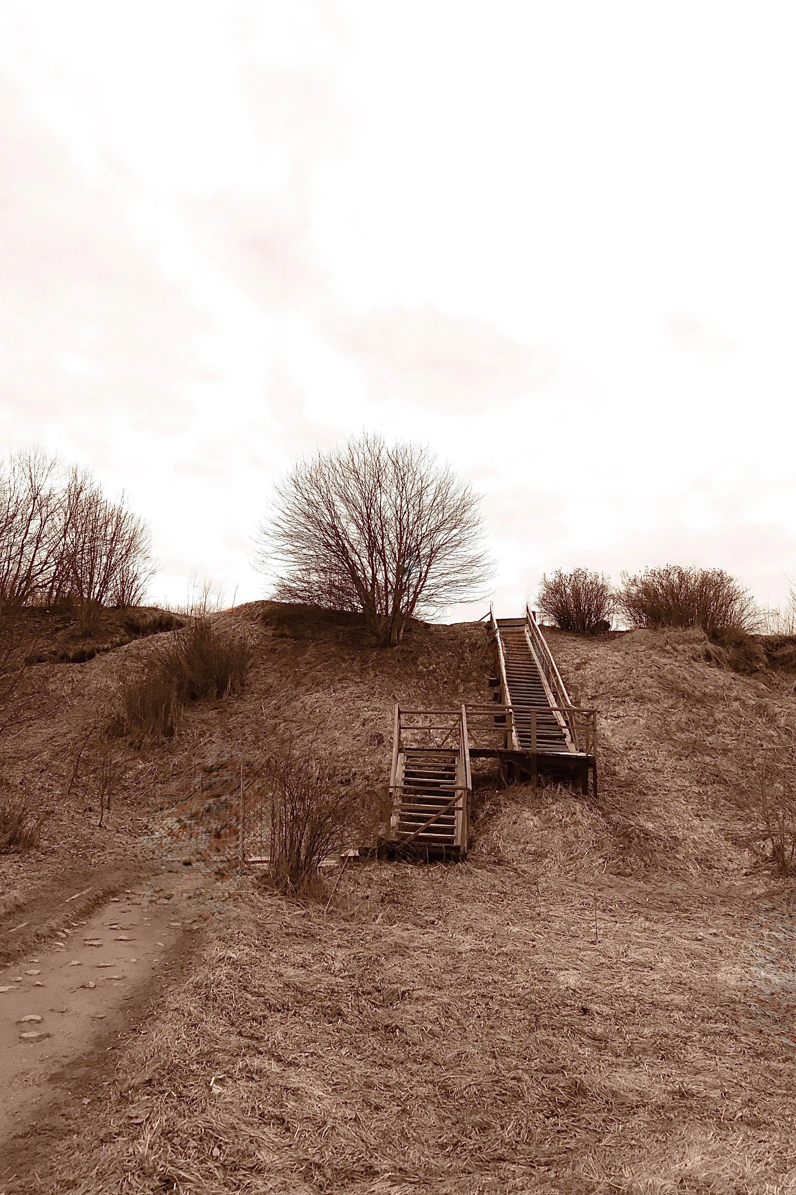 Фотограф Москва. Фотограф и художник в Москве Евгения Нюнина