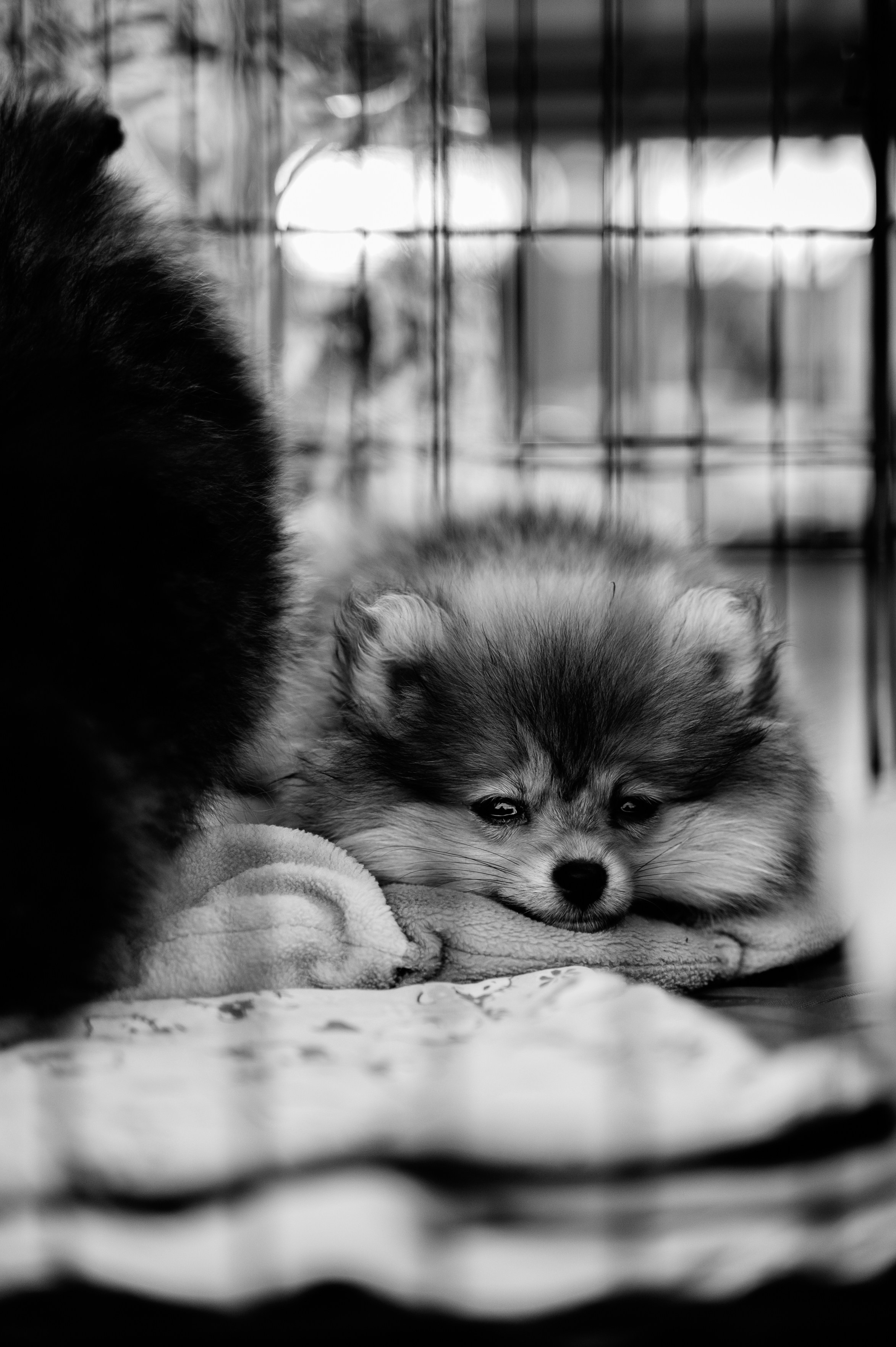 Стрит любое направление