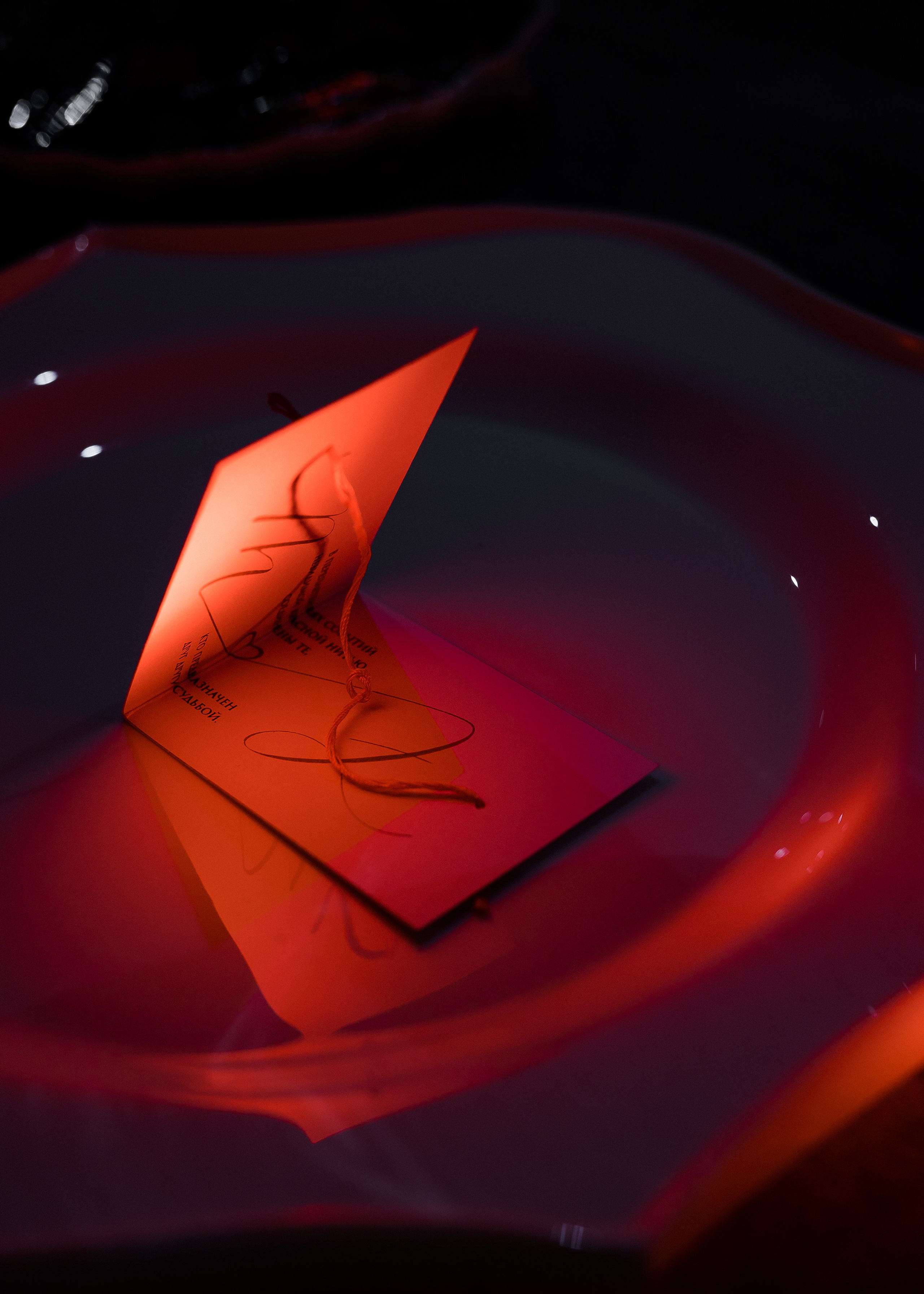 Эля + Тимур. Свадебный и семейный фотограф в Саратове Маша Паника