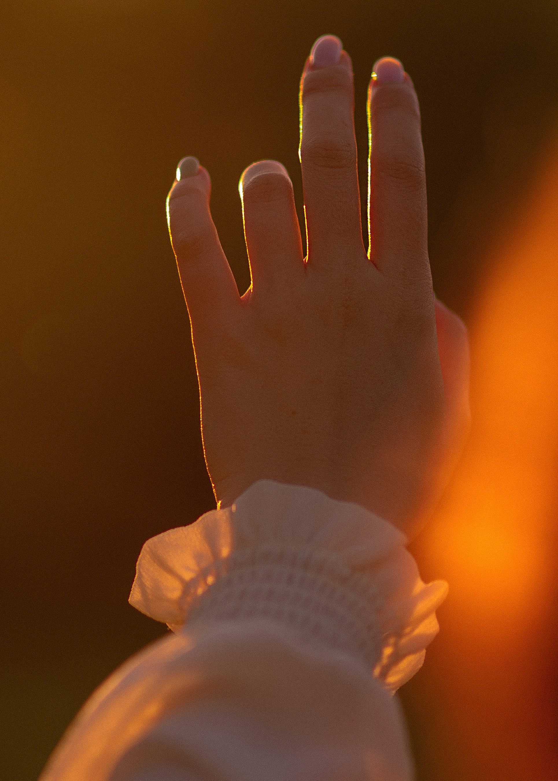 Вероника. Свадебный фотограф Анастасия Сюзанова