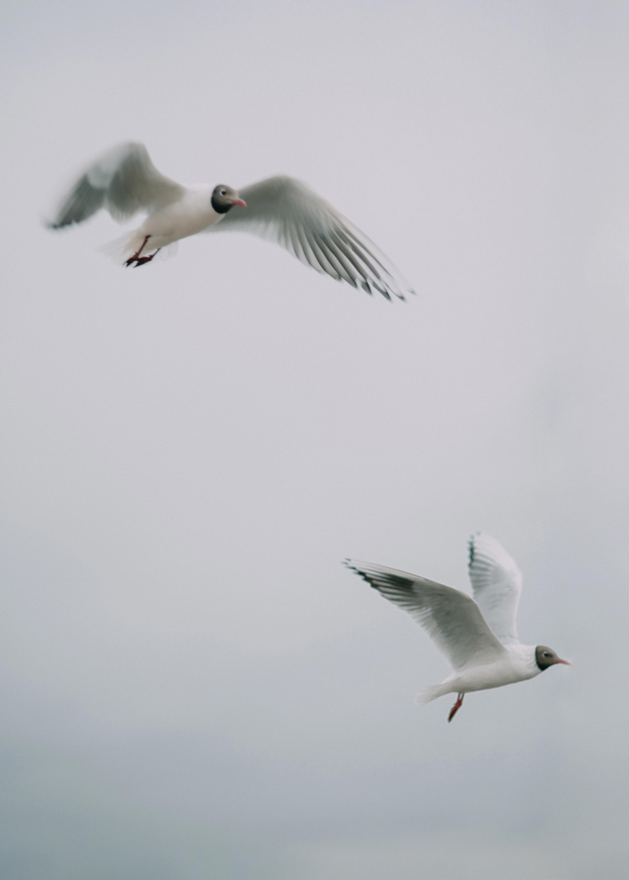 Дарья. Свадебный фотограф Анастасия Сюзанова