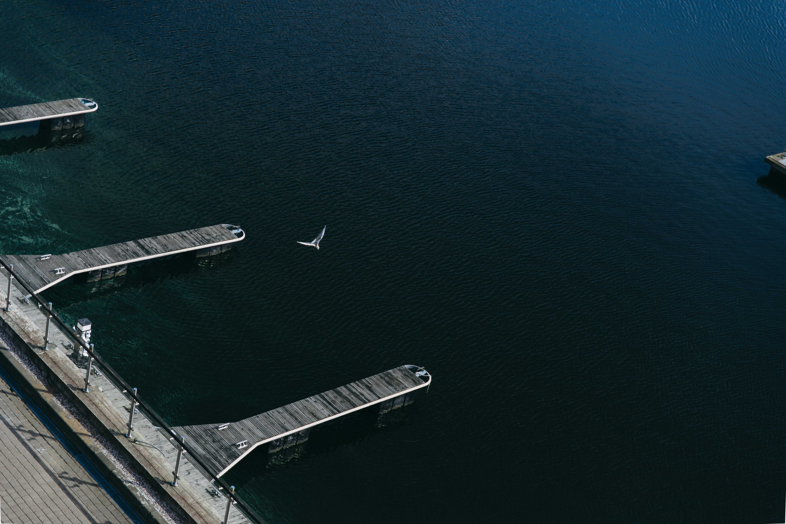 Владимир и Александра. Свадебный фотограф Анастасия Сюзанова