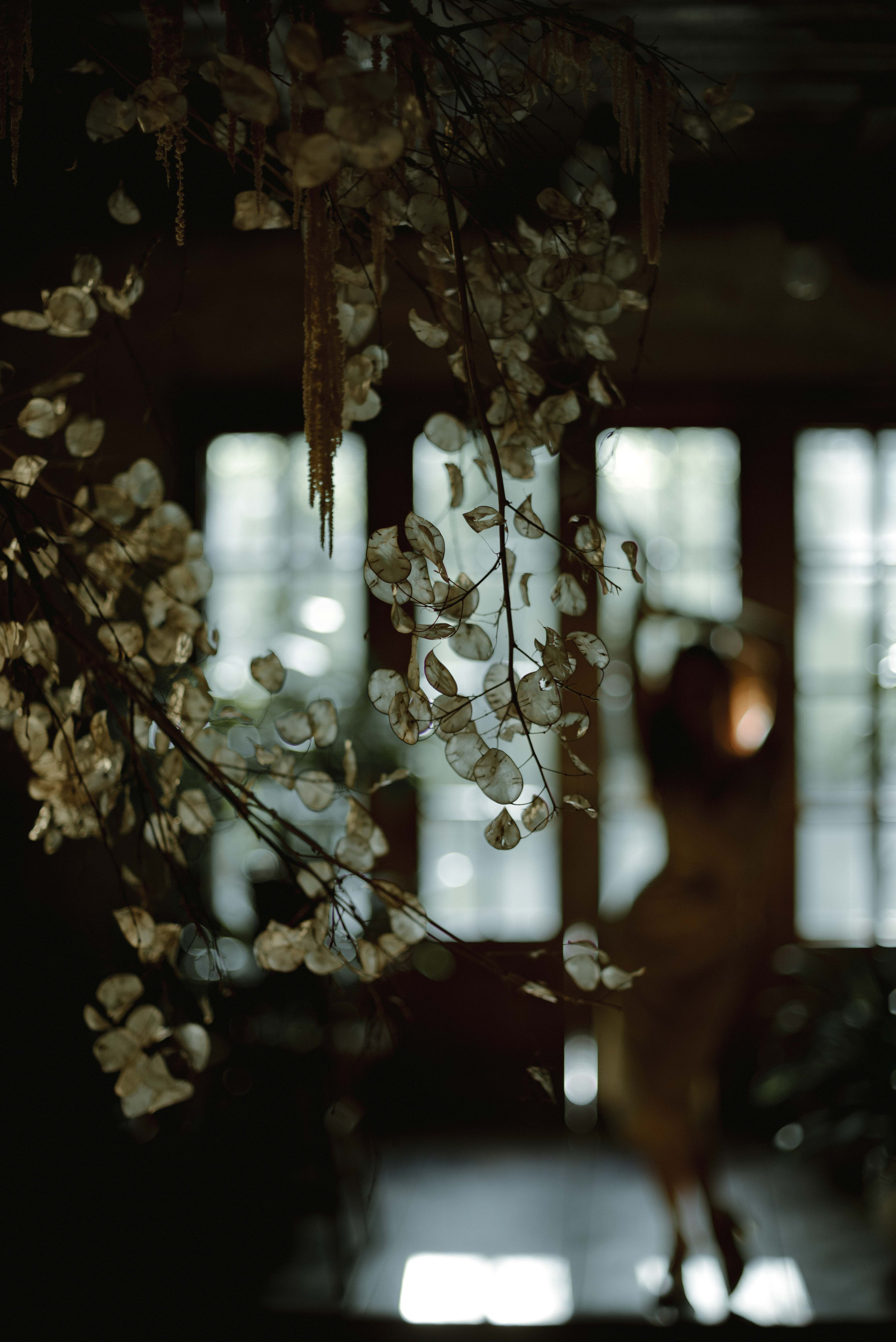 Ангелина. Свадебный фотограф Анастасия Сюзанова