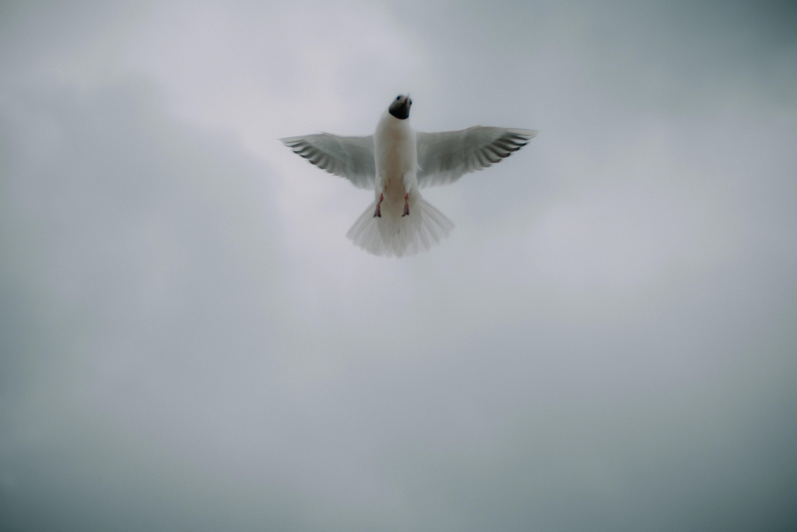 Дарья. Свадебный фотограф Анастасия Сюзанова