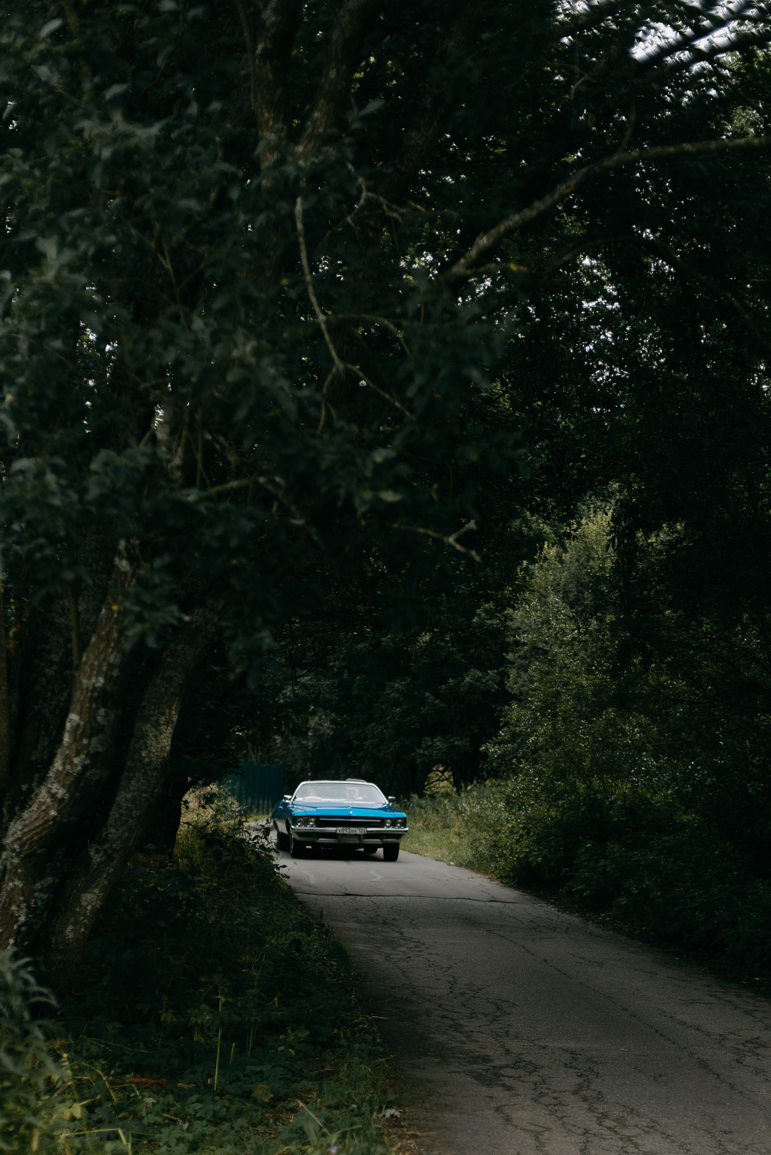 Александр и Натали. Свадебный фотограф Анастасия Сюзанова