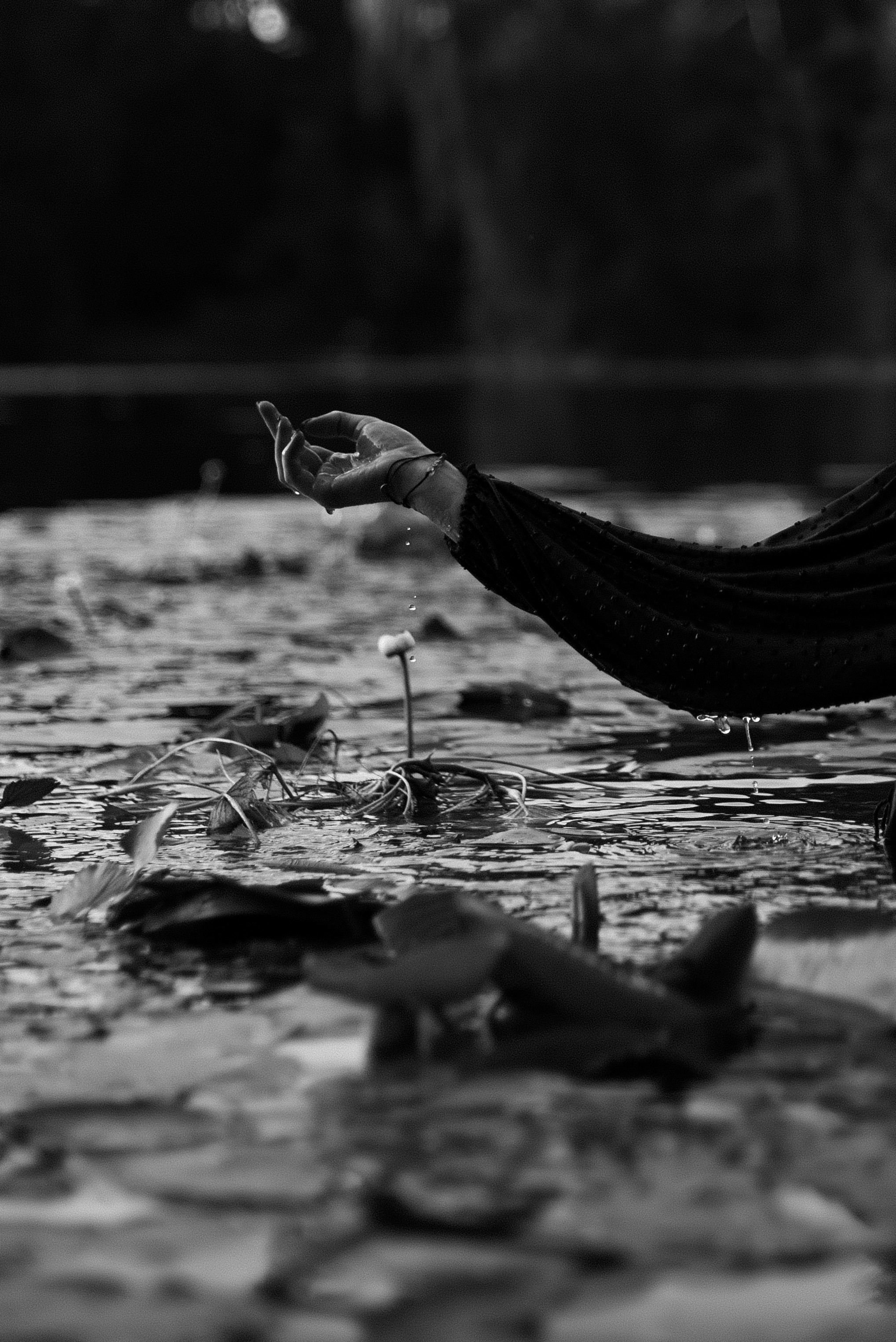 Стася. Свадебный фотограф Анастасия Сюзанова